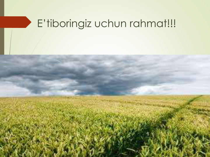 E’tiboringiz uchun rahmat!!!
