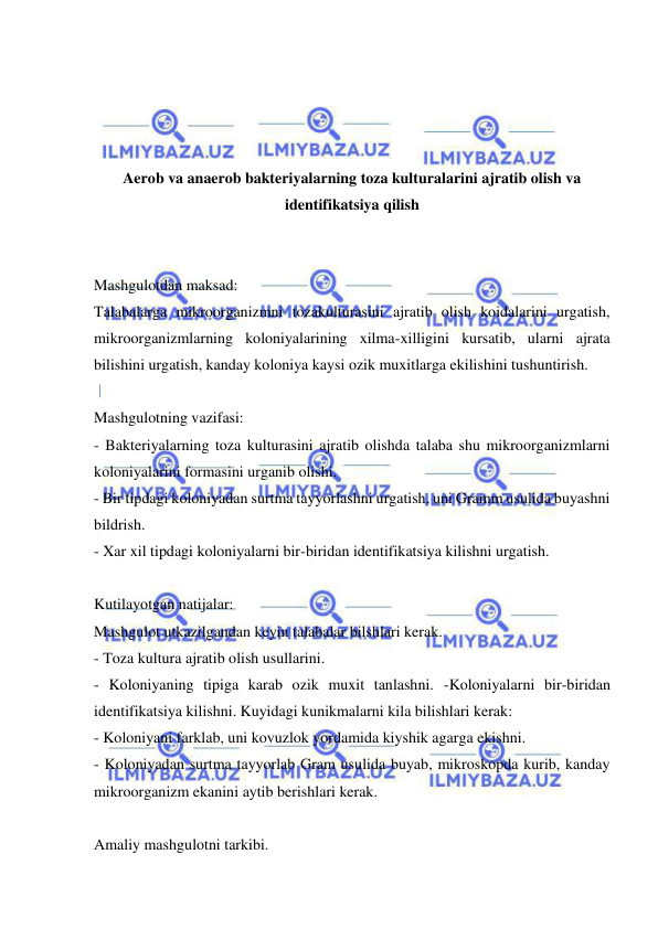  
 
 
 
 
 
Aerob va anaerob bakteriyalarning toza kulturalarini ajratib olish va 
identifikatsiya qilish 
 
 
Mashgulotdan maksad: 
Talabalarga mikroorganizmni tozakulturasini ajratib olish koidalarini urgatish, 
mikroorganizmlarning koloniyalarining xilma-xilligini kursatib, ularni ajrata 
bilishini urgatish, kanday koloniya kaysi ozik muxitlarga ekilishini tushuntirish. 
 
Mashgulotning vazifasi: 
- Bakteriyalarning toza kulturasini ajratib olishda talaba shu mikroorganizmlarni 
koloniyalarini formasini urganib olishi. 
- Bir tipdagi koloniyadan surtma tayyorlashni urgatish, uni Gramm usulida buyashni 
bildrish. 
- Xar xil tipdagi koloniyalarni bir-biridan identifikatsiya kilishni urgatish. 
 
Kutilayotgan natijalar: 
Mashgulot utkazilgandan keyin talabalar bilshlari kerak. 
- Toza kultura ajratib olish usullarini. 
- Koloniyaning tipiga karab ozik muxit tanlashni. -Koloniyalarni bir-biridan 
identifikatsiya kilishni. Kuyidagi kunikmalarni kila bilishlari kerak: 
- Koloniyani farklab, uni kovuzlok yordamida kiyshik agarga ekishni. 
- Koloniyadan surtma tayyorlab Gram usulida buyab, mikroskopda kurib, kanday 
mikroorganizm ekanini aytib berishlari kerak. 
 
Amaliy mashgulotni tarkibi. 
