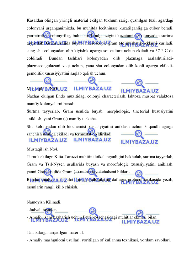  
 
Kasaldan olingan yiringli material ekilgan tukhum sarigi qushilgan tuzli agardagi 
colonyani urganganimizda, bu muhitda lecithinase kuzatilganligiga etibor beradi, 
yan atrofida colony fog, bulut hosil bulganzigini kuzatamiz. Colonyadan surtma 
tayyorlab, Gram usulida buyab, microscopic gram (+) musbat kokklarni kuriladi, 
sung shu colonyadan olib kiyishik agarga sof culture uchun ekiladi va 37 ° C da 
coldiradi. 
Bundan 
tashkari 
kolonyadan 
olib 
plazmaga 
aralashtiriladi-
plazmacoagulazani vaqt uchun, yana shu colonyadan olib konli agarga ekiladi-
gemolitik xususiyiyatini saqlab qolish uchun. 
 
Mustaqil ish No3. 
Nazhas ekilgan Endo muxitidagi colonyi characterlash, laktoza musbat valaktoza 
manfiy kolonyalarni beradi. 
Surtma tayyerlab, Gram usulida buyab, morphologic, tinctorial hususiyatini 
aniklash, yani Gram (-) manfiy taekcha. 
Shu kolonyadan olib biochemist xususiyiyatini aniklash uchun 3 qandli agarga 
sanchish usulida ekiladi va termostat qo'ldiriladi. 
 
Mustaqil ish No4. 
Tuprok ekilagn Kitta-Tarozzi muhitini loikalanganligini bakholab, surtma tayyerlab, 
Gram va Tsil-Nysen usullarida buyash va morofologic xususiyiyatini aniklash, 
yanni Gram usulida Gram (+) mubat tayokchalseni bildari. 
Barcha amaliy mashg'ulotlarning khulosalarini daftarga protocol tarikasida yezib, 
rasmlarin rangli kilib chisish. 
 
Namoyish Kilinadi. 
- Jadval, rasmlar. 
- Amaliy ishni bazharish uchun Petri kosachasidagi muhitlar ekmasi bilan. 
 
Talabalarga tarqatilgan material. 
- Amaliy mashgulotni usullari, yoritilgan of kullanma texnikasi, yordam savollari. 
