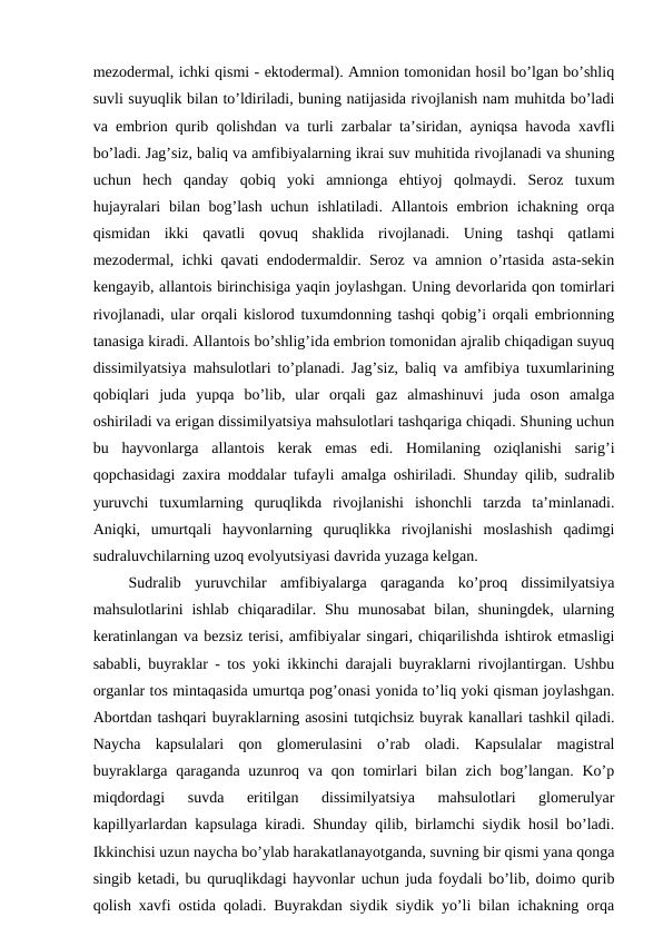 mezodermal, ichki qismi - ektodermal). Amnion tomonidan hosil bo’lgan bo’shliq
suvli suyuqlik bilan to’ldiriladi, buning natijasida rivojlanish nam muhitda bo’ladi
va embrion qurib qolishdan va turli zarbalar ta’siridan, ayniqsa havoda xavfli
bo’ladi. Jag’siz, baliq va amfibiyalarning ikrai suv muhitida rivojlanadi va shuning
uchun  hech  qanday  qobiq  yoki  amnionga  ehtiyoj  qolmaydi.  Seroz  tuxum
hujayralari  bilan bog’lash uchun ishlatiladi. Allantois embrion ichakning orqa
qismidan  ikki  qavatli  qovuq  shaklida  rivojlanadi.  Uning  tashqi  qatlami
mezodermal, ichki qavati endodermaldir. Seroz va amnion o’rtasida asta-sekin
kengayib, allantois birinchisiga yaqin joylashgan. Uning devorlarida qon tomirlari
rivojlanadi, ular orqali kislorod tuxumdonning tashqi qobig’i orqali embrionning
tanasiga kiradi. Allantois bo’shlig’ida embrion tomonidan ajralib chiqadigan suyuq
dissimilyatsiya mahsulotlari to’planadi. Jag’siz, baliq va amfibiya tuxumlarining
qobiqlari  juda  yupqa  bo’lib,  ular  orqali  gaz  almashinuvi  juda  oson  amalga
oshiriladi va erigan dissimilyatsiya mahsulotlari tashqariga chiqadi. Shuning uchun
bu  hayvonlarga  allantois  kerak  emas  edi.  Homilaning  oziqlanishi  sarig’i
qopchasidagi zaxira moddalar tufayli amalga oshiriladi. Shunday qilib, sudralib
yuruvchi  tuxumlarning  quruqlikda  rivojlanishi  ishonchli  tarzda  ta’minlanadi.
Aniqki,  umurtqali  hayvonlarning  quruqlikka  rivojlanishi  moslashish  qadimgi
sudraluvchilarning uzoq evolyutsiyasi davrida yuzaga kelgan.
 Sudralib  yuruvchilar  amfibiyalarga  qaraganda  ko’proq  dissimilyatsiya
mahsulotlarini  ishlab  chiqaradilar.  Shu  munosabat  bilan,  shuningdek,  ularning
keratinlangan va bezsiz terisi, amfibiyalar singari, chiqarilishda ishtirok etmasligi
sababli, buyraklar - tos yoki ikkinchi darajali buyraklarni rivojlantirgan. Ushbu
organlar tos mintaqasida umurtqa pog’onasi yonida to’liq yoki qisman joylashgan.
Abortdan tashqari buyraklarning asosini tutqichsiz buyrak kanallari tashkil qiladi.
Naycha  kapsulalari  qon  glomerulasini  o’rab  oladi.  Kapsulalar  magistral
buyraklarga qaraganda uzunroq va qon tomirlari bilan zich bog’langan. Ko’p
miqdordagi  suvda  eritilgan  dissimilyatsiya  mahsulotlari  glomerulyar
kapillyarlardan kapsulaga kiradi. Shunday qilib, birlamchi siydik hosil bo’ladi.
Ikkinchisi uzun naycha bo’ylab harakatlanayotganda, suvning bir qismi yana qonga
singib ketadi, bu quruqlikdagi hayvonlar uchun juda foydali bo’lib, doimo qurib
qolish xavfi ostida qoladi. Buyrakdan siydik siydik yo’li bilan ichakning orqa
