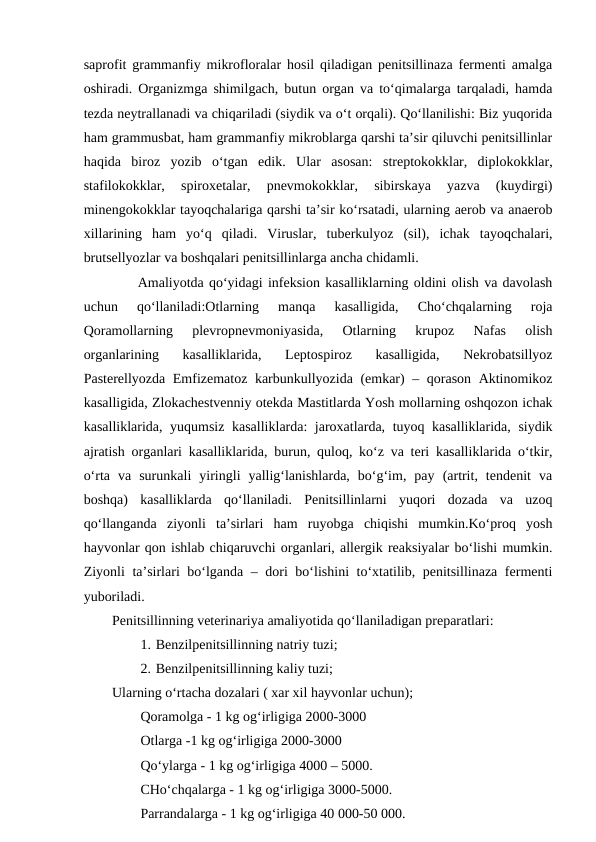 saprofit grammanfiy mikrofloralar hosil qiladigan penitsillinaza fermenti amalga
oshiradi. Organizmga shimilgach, butun organ va to‘qimalarga tarqaladi, hamda
tezda neytrallanadi va chiqariladi (siydik va o‘t orqali). Qo‘llanilishi: Biz yuqorida
ham grammusbat, ham grammanfiy mikroblarga qarshi ta’sir qiluvchi penitsillinlar
haqida  biroz  yozib  o‘tgan  edik.  Ular  asosan:  streptokokklar,  diplokokklar,
stafilokokklar,  spiroxetalar,  pnevmokokklar,  sibirskaya  yazva  (kuydirgi)
minengokokklar tayoqchalariga qarshi ta’sir ko‘rsatadi, ularning aerob va anaerob
xillarining  ham  yo‘q  qiladi.  Viruslar,  tuberkulyoz  (sil),  ichak  tayoqchalari,
brutsellyozlar va boshqalari penitsillinlarga ancha chidamli.
Amaliyotda qo‘yidagi infeksion kasalliklarning oldini olish va davolash
uchun  qo‘llaniladi:Otlarning  manqa  kasalligida,  Cho‘chqalarning  roja
Qoramollarning  plevropnevmoniyasida,  Otlarning  krupoz  Nafas  olish
organlarining  kasalliklarida,  Leptospiroz  kasalligida,  Nekrobatsillyoz
Pasterellyozda Emfizematoz karbunkullyozida (emkar) – qorason Aktinomikoz
kasalligida, Zlokachestvenniy otekda Mastitlarda Yosh mollarning oshqozon ichak
kasalliklarida, yuqumsiz kasalliklarda: jaroxatlarda, tuyoq kasalliklarida, siydik
ajratish organlari kasalliklarida, burun, quloq, ko‘z va teri kasalliklarida o‘tkir,
o‘rta  va  surunkali  yiringli  yallig‘lanishlarda,  bo‘g‘im,  pay  (artrit,  tendenit  va
boshqa)  kasalliklarda  qo‘llaniladi.  Penitsillinlarni  yuqori  dozada  va  uzoq
qo‘llanganda  ziyonli  ta’sirlari  ham  ruyobga  chiqishi  mumkin.Ko‘proq  yosh
hayvonlar qon ishlab chiqaruvchi organlari, allergik reaksiyalar bo‘lishi mumkin.
Ziyonli ta’sirlari bo‘lganda – dori bo‘lishini to‘xtatilib, penitsillinaza fermenti
yuboriladi. 
Penitsillinning veterinariya amaliyotida qo‘llaniladigan preparatlari: 
1. Benzilpenitsillinning natriy tuzi; 
2. Benzilpenitsillinning kaliy tuzi; 
Ularning o‘rtacha dozalari ( xar xil hayvonlar uchun);
Qoramolga - 1 kg og‘irligiga 2000-3000 
Otlarga -1 kg og‘irligiga 2000-3000 
Qo‘ylarga - 1 kg og‘irligiga 4000 – 5000.
CHo‘chqalarga - 1 kg og‘irligiga 3000-5000.
Parrandalarga - 1 kg og‘irligiga 40 000-50 000. 
