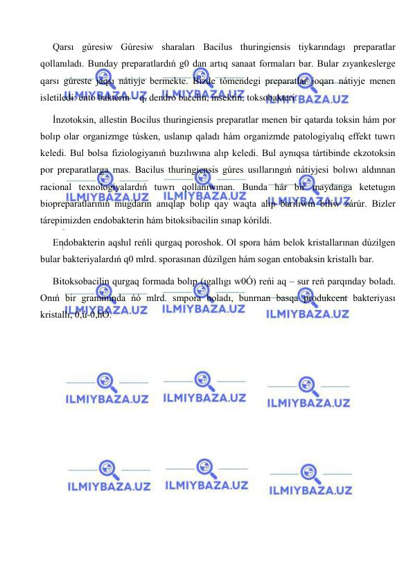  
 
Qarsı gúresiw Gúresiw sharaları Bacilus thuringiensis tiykarındagı preparatlar 
qollanıladı. Bunday preparatlardıń g0 dan artıq sanaat formaları bar. Bular zıyankeslerge 
qarsı gúreste jaqsı nátiyje bermekte. Bizde tómendegi preparatlar joqarı nátiyje menen 
isletiledi: ento bakterin – q, dendro bacelin, insektin, toksobakteri.  
İnzotoksin, allestin Bocilus thuringiensis preparatlar menen bir qatarda toksin hám por 
bolıp olar organizmge túsken, uslanıp qaladı hám organizmde patologiyalıq effekt tuwrı 
keledi. Bul bolsa fiziologiyanıń buzılıwına alıp keledi. Bul aynıqsa tártibinde ekzotoksin 
por preparatlarga mas. Bacilus thuringiensis gúres usıllarıngıń nátiyjesi bolıwı aldınnan 
racional texnologiyalardıń tuwrı qollanıwınan. Bunda hár bir maydanga ketetugın 
biopreparatlarınıń mugdarın anıqlap bolıp qay waqta alıp barılıwın biliw zárúr. Bizler 
tárepimizden endobakterin hám bitoksibacilin sınap kórildi. 
Endobakterin aqshıl reńli qurgaq poroshok. Ol spora hám belok kristallarınan dúzilgen 
bular bakteriyalardıń q0 mlrd. sporasınan dúzilgen hám sogan entobaksin kristallı bar. 
Bitoksobacilin qurgaq formada bolıp (ıgallıgı w0Ó) reńi aq – sur reń parqınday boladı. 
Onıń bir grammında ńó mlrd. smpora boladı, bunrnan basqa produkcent bakteriyası 
kristallı, 0,ú-0,hÓ. 
 
