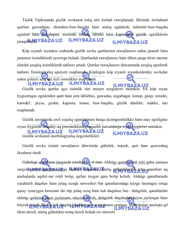  
 
Túslik Tájikstanda gúzlik sovkanıń tolıq tórt áwladı rawajlanadı. Birinshi áwladınıń 
qurtları gawashanı, ekinshisi-baw-baqsha hám aralıq eginlerdi, úshinshi-baw-baqsha 
eginleri hám jońıshqanı, tórtinshi áwladı láblebi hám kapustanıń gúzlik egisliklerin 
jaraqatlaydı.  
Kóp zıyanlı zıyankes esabında gúzlik sovka qurtlarınıń rawajlanıwı ushın jaramlı hám 
jaramsız ósimliklerdi ayırıwga boladı. Qurtlardıń rawajlanıwı hám úlken jasqa ótiwi menen 
olardıń azıqlıq ósimliklerdi tańlawı artadı. Qurtlar rawajlanıwı dawamında azıqlıq eginlerdi 
tańlawı fiziologiyalıq qásiyeti esaplanadı. Kóplegen kóp zıyanlı zıyankeslerdey sovkalar 
ushın qolaylı azıq eki úyli ósimlikler esaplanadı. 
Gúzlik sovka qurtlaı qyo ósimlik túri menen azıqlanıwı múmkin. Eń kóp zıyan 
tiygizetugın eginlerden qant hám jem láblebisi, gawasha, aygabagar, kenep, gúnji, temeki, 
kartofel`, piyaz, geshir, kapusta, tomat, baw-baqsha, gúzlik dánliler, mákke, tarı 
esaplanadı. 
Gúzlik rayonlarda awıl xojalıq eginelerinen basqa júzimgershilikke hám may egisligine 
zıyan tiygizedi. Sonday-aq pitomniklerdegi agashlı parodalarga zıyan tiygiziwi múmkin. 
Gúzlik sovkanıń morfologiyalıq ózgeshelikleri 
Gúzlik sovka óziniń rawajlanıw dáwirinde gúbelek, máyek, qurt hám quwırshaq 
fazaların ótedi. 
Gúbelegi qanatların jayganda uzınlıgı e-t-rt mm. Aldıńgı qanatlarınıń reńi quba yamasa 
sargısh-surdan qaraltım-surga shekem ózgeredi. Atalıq gúbeleklerdiń artqı qanatları aq 
analıqlarda aqshıl-sur reńli bolıp, qırları toygın qara bolıp keledi. Aldıńgı qanatlarında 
xarakterli daqshav hám jolaq sızıqlı súwretleri bar qanatlarındagı kózge túsetugın sırtqa 
qaray iymeygen kesesine eki túp jolaq sızıq hám úsh daqshası bar~ dóńgelek, qanatlardıń 
aldıńgı qırlarına jaqın jaylasqan, múyish tárizli, dóńgelek daqshadan keyin jaylasqan hám 
búyrek tárizli. Barlıq úsh daqsha jińishke qara sızıq penen oralgan. Murtshaları analıqta qıl 
tiken tárizli, atalıq gúbelekte toraq tárizli boladı (w-súwret). 
