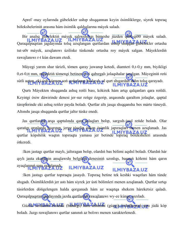  
 
Aprel`-may oylarında gúbelekler ushıp shıqqannan keyin ósimliklerge, siyrek topıraq 
bóleksheleriniń arasına hám ósimlik qaldıqlarına máyek saladı. 
Bir analıq gúbelektiń máyek salıwshılıgı birneshe júzden qt00-qi00 máyek saladı. 
Qaraqalpaqstan jagdayında tolıq azıqlangan qurtlardan ushıp shıqqan gúbelekler ortasha 
tut-u0r máyek, azıqlanıwı úziliske túskende ortasha roy máyek salgan. Máyeklerdiń 
rawajlanıwı r-t kún dawam etedi. 
Máyegi yarım shar tárizli, tómen qaray juwanıp ketedi, diamteri 0,t-0,y mm, biyikligi 
0,et-0,tt mm, máyektiń tómengi betinen rt-ri qabırgalı jolaqshalar tarqlgan. Máyeginiń reńi 
sútli aqtan, eki-úsh kúnnen soń qońırlanıp baslaydı, al qurt shıgardan aldın tolıq qarayadı. 
Qurtı Máyekten shıqqanda ashıq reńli bası, kókirek hám artqı qalqanları qara reńldi. 
Keyingi ósiw dáwirinde denesi jer-sur reńge ózgerip, arqasında qaraltım jolaqlar, qaptal 
táreplerinde eki ashıq reńler payda boladı. Qurtlar altı jasqa shıqqansha bes márte túneydi. 
Altınshı jasqa shıqqanda qurtlar jaltır túske enedi. 
Jas qurtlardıń arqa qaptalında qara jolaqları bolıp, sargısh-jasıl reńde boladı. Olar 
qarańgı orınlarda jasırınıp, jerge tóselip ósken ósimlik japıraqları menen azıqlanadı. Jas 
qurtlar kópshilik waqtın topıraqta yamasa jer betinde topıraq bóleksheleri arasında 
ótkeredi. 
:lken jastagı qurtlar maylı, jaltıragan bolıp, olardıń bas bólimi aqshıl boladı. Olardıń hár 
qıylı jasta ekenligin anıqlawshı belgileri denesiniń uzınlıgı, basınıń kólemi hám qarın 
ayaqlarınıń sanı esaplanadı. 
:lken jastagı qurtlar topıraqta jasaydı. Topıraq betine tek keshki waqıtları hám túnde 
shıgadı. Ósimliklerdiń jer astı hám siyrek jer ústi bólimleri menen azıqlanadı. Qurtlar sırtqı 
tásirlerden dóńgelengen halda qorganadı hám az waqıtqa shekem háreketsiz qaladı. 
Qaraqalpaqstan jagdayında jazda qurtlardıń rawajlanıwı wy-ee kúnge sozıladı. 
Gúzlik sovkanıń birinshi (báhárgi) hám úshinshi (gúzgi) áwladlarınıń sanı júdá kóp 
boladı. Jazgı rawajlanıwı qurtlar sanınıń az bolıwı menen xarakterlenedi. 
