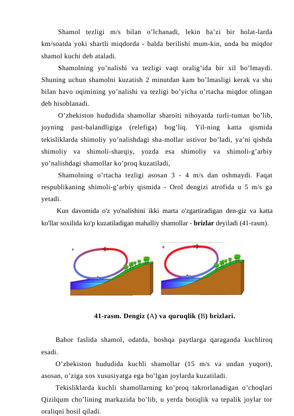 Shamol  tezligi  m/s  bilan  o’lchanadi,  lekin  ba’zi  bir  holat-larda
km/soatda yoki shartli miqdorda - balda berilishi mum-kin, unda bu miqdor
shamol kuchi deb ataladi.
Shamolning  yo’nalishi  va  tezligi  vaqt  oralig’ida  bir  xil  bo’lmaydi.
Shuning uchun shamolni kuzatish 2 minutdan kam bo’lmasligi kerak va shu
bilan havo oqimining yo’nalishi va tezligi bo’yicha o’rtacha miqdor olingan
deb hisoblanadi.
O’zbekiston hududida shamollar sharoiti nihoyatda turli-tuman bo’lib,
joyning  past-balandligiga  (relefiga)  bog’liq.  Yil-ning  katta  qismida
tekisliklarda shimoliy yo’nalishdagi sha-mollar ustivor bo’ladi, ya’ni qishda
shimoliy  va  shimoli-sharqiy,  yozda  esa  shimoliy  va  shimoli-g’arbiy
yo’nalishdagi shamollar ko’proq kuzatiladi,
Shamolning  o’rtacha  tezligi  asosan  3  -  4  m/s  dan  oshmaydi.  Faqat
respublikaning shimoli-g’arbiy qismida - Orol dengizi atrofida u 5 m/s ga
yetadi.
Kun davomida o'z yo'nalishini ikki marta o'zgartiradigan  den-giz va katta
ko'llar soxilida ko'p kuzatiladigan mahalliy shamollar - brizlar deyiladi (41-rasm).
    
41-rasm. Dengiz (A) va quruqlik (B) brizlari.
Bahor  faslida  shamol, odatda, boshqa  paytlarga  qaraganda  kuchliroq
esadi.
O’zbekiston  hududida  kuchli  shamollar  (15  m/s  va  undan  yuqori),
asosan, o’ziga xos xususiyatga ega bo’lgan joylarda kuzatiladi.
Tekisliklarda  kuchli  shamollarning ko’proq takrorlanadigan o’choqlari
Qizilqum cho’lining markazida bo’lib, u yerda botiqlik va tepalik joylar tor
oraliqni hosil qiladi.
