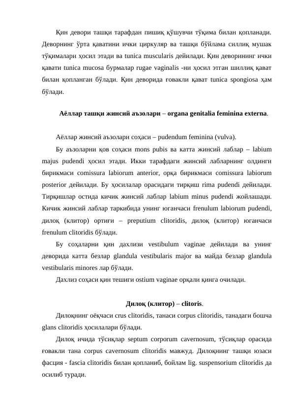 Қин девори ташқи тарафдан пишиқ қўшувчи тўқима билан қопланади.
Деворнинг ўрта қаватини ички циркуляр ва ташқи бўйлама силлиқ мушак
тўқималари ҳосил этади ва tunica muscularis дейилади. Қин деворининг ички
қавати tunica mucosa бурмалар rugae vaginalis -ни ҳосил этган шиллиқ қават
билан қопланган бўлади. Қин деворида ғовакли қават  tunica spongiosа ҳам
бўлади.
 
Аёллар ташқи жинсий аъзолари – organa genitalia feminina externa.
Аёллар жинсий аъзолари соҳаси – pudendum feminina (vulva).
Бу аъзоларни қов соҳаси  mоns pubis ва катта жинсий лаблар –  lаbium
majus pudendi ҳосил этади. Икки тарафдаги  жинсий лабларнинг олдинги
бирикмаси  comissura lаbiorum anterior, орқа бирикмаси  comissura lаbiorum
posterior дейилади. Бу ҳосилалар орасидаги тирқиш  rima pudendi дейилади.
Тирқишлар остида кичик жинсий лаблар  labium minus pudendi жойлашади.
Кичик жинсий лаблар таркибида унинг юганчаси frenulum lаbiоrum pudendi,
дилоқ  (клитор)  ортиғи  –  preputium clitoridis,  дилоқ  (клитор)  юганчаси
frenulum clitoridis бўлади. 
Бу  соҳаларни  қин  дахлизи  vestibulum vaginae дейилади  ва  унинг
деворида катта безлар  glandula vestibularis major ва майда безлар  glandula
vestibularis minоres лар бўлади.
Дахлиз соҳаси қин тешиги ostium vaginae орқали қинга очилади. 
 Дилоқ (клитор) – clitoris.
Дилоқнинг оёқчаси crus clitoridis, танаси corpus clitoridis, танадаги бошча
glans clitoridis ҳосилалари бўлади.  
Дилоқ ичида тўсиқлар  septum corporum cavernosum, тўсиқлар орасида
ғовакли тана  corpus cavernosum clitoridis мавжуд. Дилоқнинг ташқи юзаси
фасция - fascia clitoridis билан қопланиб, бойлам lig. suspensorium clitoridis да
осилиб туради.
