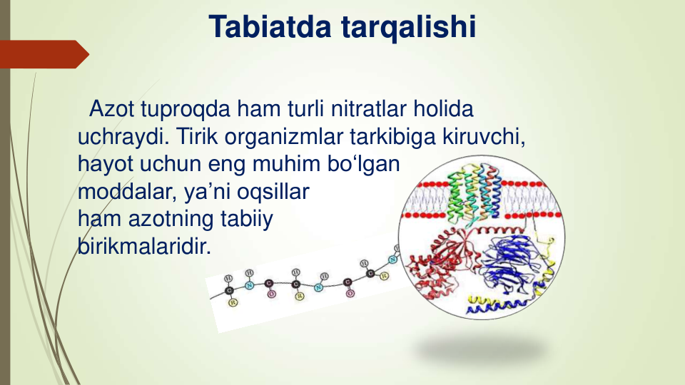 Tabiatda tarqalishi
Azot tuproqda ham turli nitratlar holida    
uchraydi. Tirik organizmlar tarkibiga kiruvchi, 
hayot uchun eng muhim bo‘lgan
moddalar, ya’ni oqsillar
ham azotning tabiiy
birikmalaridir.
