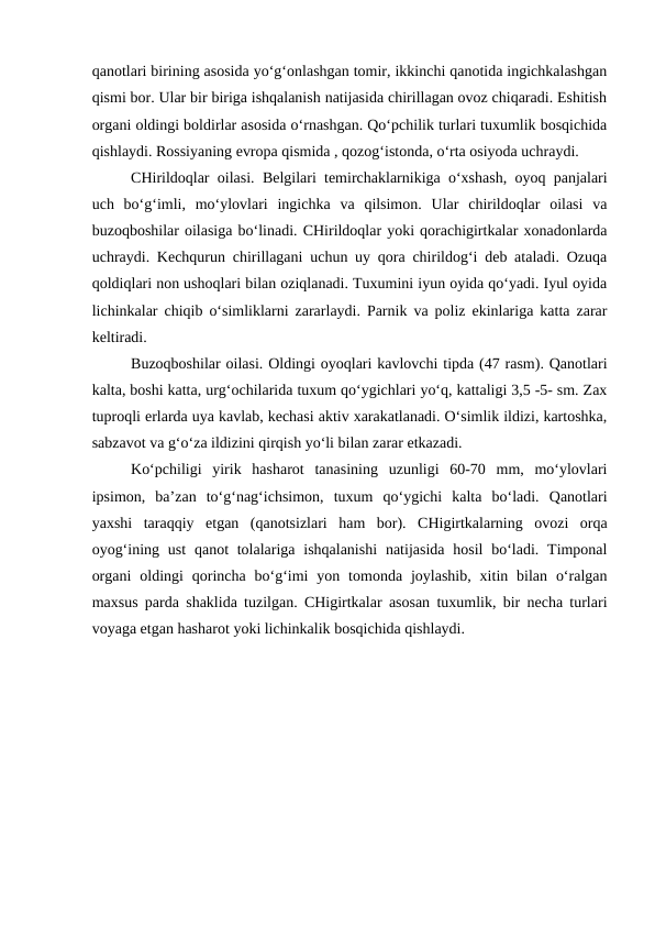 qanotlari birining asosida yo‘g‘onlashgan tomir, ikkinchi qanotida ingichkalashgan
qismi bor. Ular bir biriga ishqalanish natijasida chirillagan ovoz chiqaradi. Eshitish
organi oldingi boldirlar asosida o‘rnashgan. Qo‘pchilik turlari tuxumlik bosqichida
qishlaydi. Rossiyaning evropa qismida , qozog‘istonda, o‘rta osiyoda uchraydi. 
CHirildoqlar oilasi. Belgilari temirchaklarnikiga o‘xshash, oyoq panjalari
uch  bo‘g‘imli,  mo‘ylovlari  ingichka  va  qilsimon.  Ular  chirildoqlar  oilasi  va
buzoqboshilar oilasiga bo‘linadi. CHirildoqlar yoki qorachigirtkalar xonadonlarda
uchraydi. Kechqurun chirillagani uchun uy qora chirildog‘i deb ataladi. Ozuqa
qoldiqlari non ushoqlari bilan oziqlanadi. Tuxumini iyun oyida qo‘yadi. Iyul oyida
lichinkalar chiqib o‘simliklarni zararlaydi. Parnik va poliz ekinlariga katta zarar
keltiradi. 
Buzoqboshilar oilasi. Oldingi oyoqlari kavlovchi tipda (47 rasm). Qanotlari
kalta, boshi katta, urg‘ochilarida tuxum qo‘ygichlari yo‘q, kattaligi 3,5 -5- sm. Zax
tuproqli erlarda uya kavlab, kechasi aktiv xarakatlanadi. O‘simlik ildizi, kartoshka,
sabzavot va g‘o‘za ildizini qirqish yo‘li bilan zarar etkazadi. 
Ko‘pchiligi  yirik  hasharot  tanasining  uzunligi  60-70  mm,  mo‘ylovlari
ipsimon,  ba’zan  to‘g‘nag‘ichsimon,  tuxum  qo‘ygichi  kalta  bo‘ladi.  Qanotlari
yaxshi  taraqqiy  etgan  (qanotsizlari  ham  bor).  CHigirtkalarning  ovozi  orqa
oyog‘ining ust  qanot  tolalariga ishqalanishi  natijasida  hosil  bo‘ladi.  Timponal
organi  oldingi  qorincha  bo‘g‘imi  yon tomonda  joylashib,  xitin bilan  o‘ralgan
maxsus parda shaklida tuzilgan. CHigirtkalar asosan tuxumlik, bir necha turlari
voyaga etgan hasharot yoki lichinkalik bosqichida qishlaydi. 
