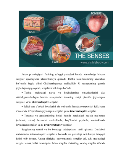  
 
Jahon psixologiyasi fanining so’nggi yutuqlari hamda atamalariga binoan 
sezgilar quyidagicha klassifikatsiya qilinadi. Ushbu tasniflanishning dastlabki 
ko’rinishi ingliz olimi Ch.Sherringtonga taalluqlidir. U retseptorning qaerda 
joylashganligiga qarab, sezgilarni uch turga bo’ladi.  
 Tashqi 
muhitdagi 
narsa 
va 
hodisalarning 
xususiyatlarini 
aks 
ettirishgamoslashgan hamda retseptorlari tananing sirtqi qismida joylashgan 
sezgilar, ya’ni ekstroretseptiv sezgilar; 
 Ichki tana a’zolari holatlarini aks ettiruvchi hamda retseptorlari ichki tana 
a’zolarida, to’qimalarda joylashgan sezgilar, ya’ni interoretseptiv sezgilar.  
 Tanamiz va gavdamizning holati hamda harakatlari haqida ma’lumot 
(axborot, xabar) beruvchi muskullarda, bog’lovchi paylarda, mushaklarda 
joylashgan sezgilar, ya’ni proprioretseptiv sezgilar. 
Sezgilarning tasnifi va bu boradagi tadqiqotlarni tahlil qilamiz. Dastlabki 
mulohazalar interoretseptiv sezgilar u borasida rus psixologi A.R.Luriya tadqiqot 
ishini olib borgan. Uning fikricha, interoretseptiv sezgilar asl, tub, ma’nodagi 
sezgilar emas, balki emotsiyalar bilan sezgilar o’rtasidagi oraliq sezgilar sifatida 
