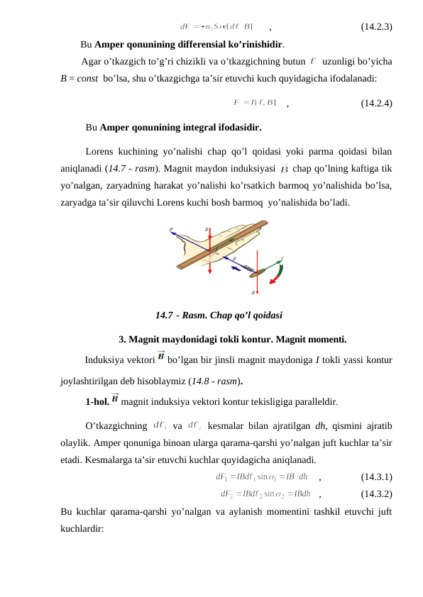       ,                                    (14.2.3)
        Bu Amper qonunining differensial ko’rinishidir.
        Agar o’tkazgich to’g’ri chizikli va o’tkazgichning butun 
  uzunligi bo’yicha
B = const  bo’lsa, shu o’tkazgichga ta’sir etuvchi kuch quyidagicha ifodalanadi:
    ,                             (14.2.4)
Bu Amper qonunining integral ifodasidir. 
Lorens kuchining yo’nalishi chap qo’l qoidasi yoki parma qoidasi bilan
aniqlanadi (14.7 - rasm). Magnit maydon induksiyasi 
 chap qo’lning kaftiga tik
yo’nalgan, zaryadning harakat yo’nalishi ko’rsatkich barmoq yo’nalishida bo’lsa,
zaryadga ta’sir qiluvchi Lorens kuchi bosh barmoq  yo’nalishida bo’ladi.
 
14.7 - Rasm. Chap qo’l qoidasi
3. Magnit maydonidagi tokli kontur. Magnit momenti.
        Induksiya vektori  bo’lgan bir jinsli magnit maydoniga I tokli yassi kontur
joylashtirilgan deb hisoblaymiz (14.8 - rasm).
1-hol.  magnit induksiya vektori kontur tekisligiga paralleldir.
O’tkazgichning  
 va 
 kesmalar bilan ajratilgan  dh, qismini ajratib
olaylik. Amper qonuniga binoan ularga qarama-qarshi yo’nalgan juft kuchlar ta’sir
etadi. Kesmalarga ta’sir etuvchi kuchlar quyidagicha aniqlanadi.
    ,                (14.3.1)
   ,                (14.3.2)
Bu kuchlar qarama-qarshi yo’nalgan va aylanish momentini tashkil etuvchi juft
kuchlardir:
