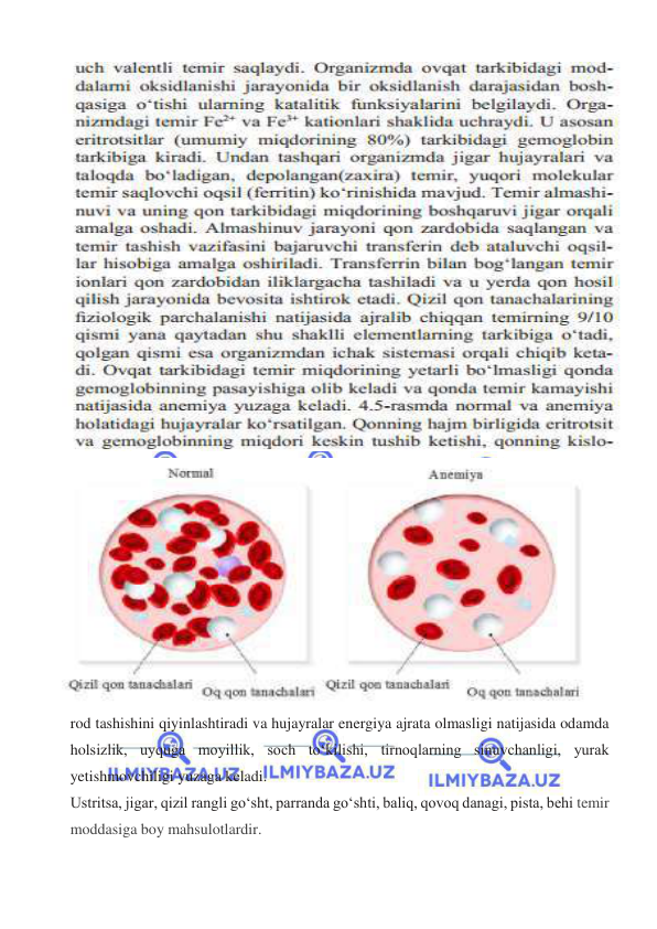  
 
 
rod tashishini qiyinlashtiradi va hujayralar energiya ajrata olmasligi natijasida odamda 
holsizlik, uyquga moyillik, soch toʻkilishi, tirnoqlarning sinuvchanligi, yurak 
yetishmovchiligi yuzaga keladi. 
Ustritsa, jigar, qizil rangli goʻsht, parranda goʻshti, baliq, qovoq danagi, pista, behi temir 
moddasiga boy mahsulotlardir.  
