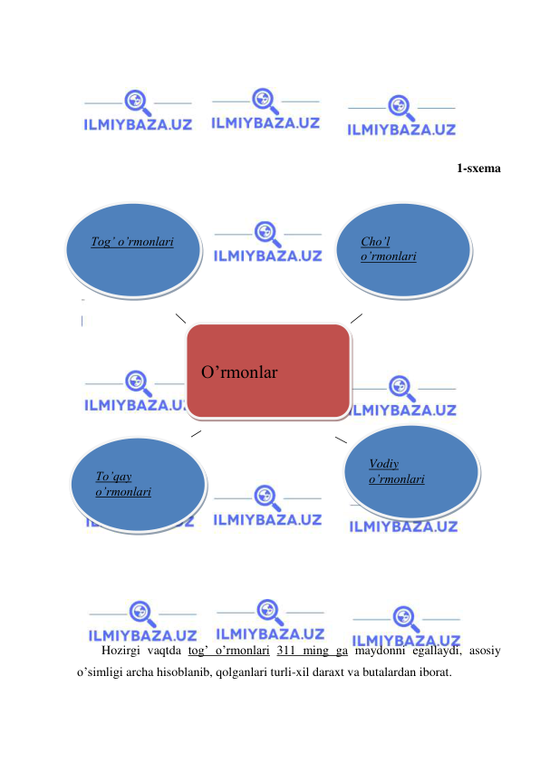  
 
 
 
 
 
 
1-sxema 
 
 
 
 
 
 
 
 
 
 
 
 
 
 
 
 
 
 
 
 
 
Hozirgi vaqtda tog’ o’rmonlari 311 ming ga maydonni egallaydi, asosiy 
o’simligi archa hisoblanib, qolganlari turli-xil daraxt va butalardan iborat. 
 
 
 O’rmonlar  
 
 
Tog’ o’rmonlari 
 
Vodiy 
o’rmonlari 
 
To’qay 
o’rmonlari 
 
Cho’l 
o’rmonlari 
