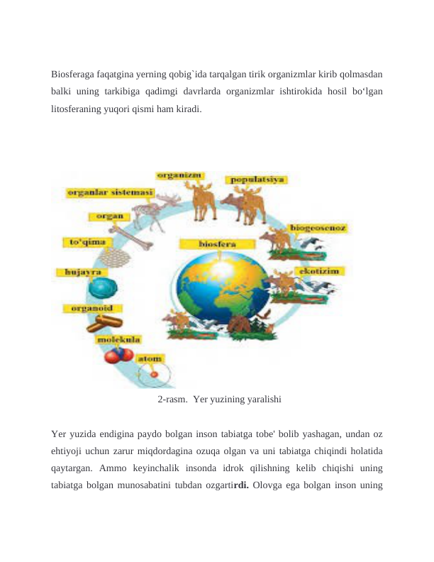 Biosferaga faqatgina yerning qobig`ida tarqalgan tirik organizmlar kirib qolmasdan
balki  uning tarkibiga qadimgi  davrlarda organizmlar  ishtirokida hosil  bo‘lgan
litosferaning yuqori qismi ham kiradi.
                                           2-rasm.  Yer yuzining yaralishi
Yer yuzida endigina paydo bolgan inson tabiatga tobe' bolib yashagan, undan oz
ehtiyoji uchun zarur miqdordagina ozuqa olgan va uni tabiatga chiqindi holatida
qaytargan.  Ammo  keyinchalik  insonda  idrok  qilishning  kelib  chiqishi  uning
tabiatga bolgan munosabatini tubdan ozgartirdi. Olovga ega bolgan inson uning
