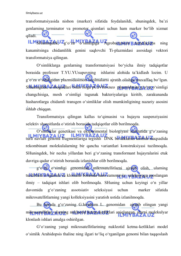 Ilmiybaza.uz 
 
transformatsiyasida nishon (marker) sifatida foydalanildi, shuningdek, ba’zi 
genlarning terminator va promotor qismlari uchun ham marker bo‘lib xizmat 
qiladi. 
SHuningdek, 
g‘o‘za 
o‘simligiga 
Agrobacterium 
tumefaciens 
ning 
kanamitsinga chidamlilik genini saqlovchi Ti-plazmidasi asosidagi vektori 
transformatsiya qilingan. 
O‘simliklarga genlarning transformatsiyasi bo‘yicha ilmiy tadqiqotlar 
borasida professor T.YU.YUsupovning  ishlarini alohida ta’kidlash lozim. U 
g‘o‘za o‘simligidan plazmidasimon tuzilmalarni ajratib olishga muvaffaq bo‘lgan. 
SHuningdek, u shogirdlari bilan birga pCaVItoxneo  plazmidasini g‘o‘za o‘simligi 
changchisiga, mosh o‘simligi tugunak bakteriyalariga kiritib, zarakunanda 
hasharotlarga chidamli transgen o‘simliklar olish mumkinligining nazariy asosini 
ishlab chiqqan. 
Transformatsiya qilingan kallus to‘qimasini va hujayra suspenziyasini 
selektiv sharoitlarda o‘stirish borasida tadqiqotlar olib borilmoqda. 
O‘simliklar genetikasi va eksperimental biologiyasi institutida g‘o‘zaning 
turli navlari genomi fragmentlariga tegishli  DNK bo‘laklarini kiritish maqsadida 
rekombinant molekulalarning bir qancha variantlari konstruksiyasi tuzilmoqda. 
SHuningdek, bir necha yillardan beri g‘o‘zaning transformant hujayralarini etuk 
davriga qadar o‘stirish borasida izlanishlar olib borilmoqda.  
g‘o‘za o‘simligi genomidan mikrosatellitlarni ajratib olish, ularning 
tuzilishini o‘rganish va klonlash borasida ham zamonaviy  seleksiyaga asoslangan 
ilmiy – tadqiqot ishlari olib borilmoqda. SHuning uchun keyingi o‘n yillar 
davomida 
g‘o‘zaning 
assotsiativ 
seleksiyasi 
uchun 
 
marker 
sifatida 
mikrosatellitlarning yangi kolleksiyasini yaratish ustida izlanilmoqda. 
Bu borada g‘o‘zaning G.hirsutum L. genomidan  ajratib olingan yangi 
mikrosatellitlar, ularning nukleotid ketma-ketliklari aniqlangan, ularni molekulyar 
klonlash ishlari amalga oshirilgan. 
G‘o‘zaning yangi mikrosatellitlarining nukleotid ketma-ketliklari model 
o‘simlik Arahidopsis thaline ning ilgari to‘liq o‘rganilgan genomi bilan taqqoslash 
