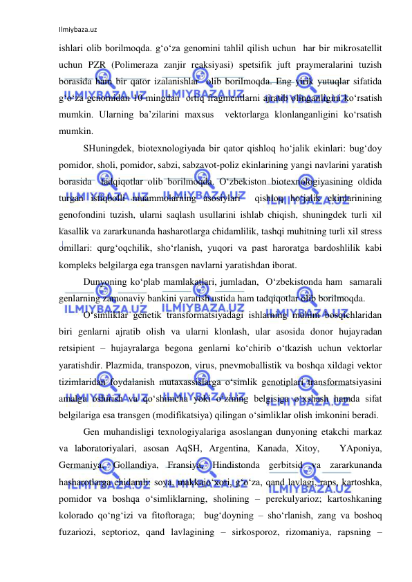 Ilmiybaza.uz 
 
ishlari olib borilmoqda. g‘o‘za genomini tahlil qilish uchun  har bir mikrosatellit 
uchun PZR (Polimeraza zanjir reaksiyasi) spetsifik juft praymeralarini tuzish 
borasida ham bir qator izalanishlar  olib borilmoqda. Eng yirik yutuqlar sifatida 
g‘o‘za genomidan 10 mingdan  ortiq fragmentlarni ajratib olinganligini ko‘rsatish 
mumkin. Ularning ba’zilarini maxsus  vektorlarga klonlanganligini ko‘rsatish 
mumkin.  
SHuningdek, biotexnologiyada bir qator qishloq ho‘jalik ekinlari: bug‘doy 
pomidor, sholi, pomidor, sabzi, sabzavot-poliz ekinlarining yangi navlarini yaratish 
borasida  tadqiqotlar olib borilmoqda. O‘zbekiston biotexnologiyasining oldida 
turgan istiqbolli muammolarning asosiylari  qishloq ho‘jalik ekinlarinining 
genofondini tuzish, ularni saqlash usullarini ishlab chiqish, shuningdek turli xil 
kasallik va zararkunanda hasharotlarga chidamlilik, tashqi muhitning turli xil stress 
omillari: qurg‘oqchilik, sho‘rlanish, yuqori va past haroratga bardoshlilik kabi 
kompleks belgilarga ega transgen navlarni yaratishdan iborat. 
Dunyoning ko‘plab mamlakatlari, jumladan,  O‘zbekistonda ham  samarali 
genlarning zamonaviy bankini yaratish ustida ham tadqiqotlar olib borilmoqda. 
O‘simliklar genetik transformatsiyadagi ishlarning muhim bosqichlaridan 
biri genlarni ajratib olish va ularni klonlash, ular asosida donor hujayradan 
retsipient – hujayralarga begona genlarni ko‘chirib o‘tkazish uchun vektorlar 
yaratishdir. Plazmida, transpozon, virus, pnevmoballistik va boshqa xildagi vektor 
tizimlaridan foydalanish mutaxassislarga o‘simlik genotiplari transformatsiyasini 
amalga oshirish va qo‘shimcha yoki o‘zining belgisiga o‘xshash hamda sifat 
belgilariga esa transgen (modifikatsiya) qilingan o‘simliklar olish imkonini beradi. 
Gen muhandisligi texnologiyalariga asoslangan dunyoning etakchi markaz 
va laboratoriyalari, asosan AqSH, Argentina, Kanada, Xitoy,   YAponiya, 
Germaniya, Gollandiya, Fransiya, Hindistonda gerbitsid va zararkunanda 
hasharotlarga chidamli: soya, makkajo‘xori, g‘o‘za, qand lavlagi, raps, kartoshka, 
pomidor va boshqa o‘simliklarning, sholining – perekulyarioz; kartoshkaning  
kolorado qo‘ng‘izi va fitoftoraga;  bug‘doyning – sho‘rlanish, zang va boshoq 
fuzariozi, septorioz, qand lavlagining – sirkosporoz, rizomaniya, rapsning – 
