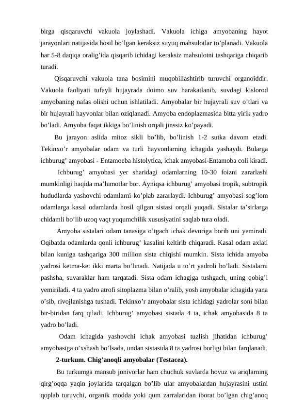 birga  qisqaruvchi  vakuola  joylashadi.  Vakuola  ichiga  amyobaning  hayot
jarayonlari natijasida hosil bo’lgan keraksiz suyuq mahsulotlar to’planadi. Vakuola
har 5-8 daqiqa oralig’ida qisqarib ichidagi keraksiz mahsulotni tashqariga chiqarib
turadi. 
Qisqaruvchi  vakuola  tana  bosimini  muqobillashtirib  turuvchi  organoiddir.
Vakuola  faoliyati  tufayli  hujayrada  doimo  suv  harakatlanib,  suvdagi  kislorod
amyobaning nafas olishi uchun ishlatiladi. Amyobalar bir hujayrali suv o’tlari va
bir hujayrali hayvonlar bilan oziqlanadi. Amyoba endoplazmasida bitta yirik yadro
bo’ladi. Amyoba faqat ikkiga bo’linish orqali jinssiz ko’payadi. 
Bu  jarayon  aslida  mitoz  sikli  bo’lib,  bo’linish  1-2  sutka  davom  etadi.
Tekinxo’r amyobalar odam  va turli hayvonlarning ichagida yashaydi. Bularga
ichburug’ amyobasi - Entamoeba histolytica, ichak amyobasi-Entamoba coli kiradi.
 Ichburug’  amyobasi  yer  sharidagi  odamlarning  10-30  foizni  zararlashi
mumkinligi haqida ma’lumotlar bor. Ayniqsa ichburug’ amyobasi tropik, subtropik
hududlarda yashovchi odamlarni ko’plab zararlaydi. Ichburug’ amyobasi sog’lom
odamlarga kasal odamlarda hosil qilgan sistasi orqali yuqadi. Sistalar ta’sirlarga
chidamli bo’lib uzoq vaqt yuqumchilik xususiyatini saqlab tura oladi.
 Amyoba sistalari odam tanasiga o’tgach ichak devoriga borib uni yemiradi.
Oqibatda odamlarda qonli ichburug’ kasalini keltirib chiqaradi. Kasal odam axlati
bilan kuniga tashqariga 300 million sista chiqishi mumkin. Sista ichida amyoba
yadrosi ketma-ket ikki marta bo’linadi. Natijada u to’rt yadroli bo’ladi. Sistalarni
pashsha, suvaraklar ham tarqatadi. Sista odam ichagiga tushgach, uning qobig’i
yemiriladi. 4 ta yadro atrofi sitoplazma bilan o’ralib, yosh amyobalar ichagida yana
o’sib, rivojlanishga tushadi. Tekinxo’r amyobalar sista ichidagi yadrolar soni bilan
bir-biridan farq qiladi. Ichburug’ amyobasi sistada 4 ta, ichak amyobasida 8 ta
yadro bo’ladi.
 Odam  ichagida  yashovchi  ichak  amyobasi  tuzlish  jihatidan  ichburug’
amyobasiga o’xshash bo’lsada, undan sistasida 8 ta yadrosi borligi bilan farqlanadi.
 2-turkum. Chig’anoqli amyobalar (Testacea). 
 Bu turkumga mansub jonivorlar ham chuchuk suvlarda hovuz va ariqlarning
qirg’oqqa yaqin joylarida tarqalgan bo’lib ular amyobalardan hujayrasini ustini
qoplab turuvchi, organik modda yoki qum zarralaridan iborat bo’lgan chig’anoq

