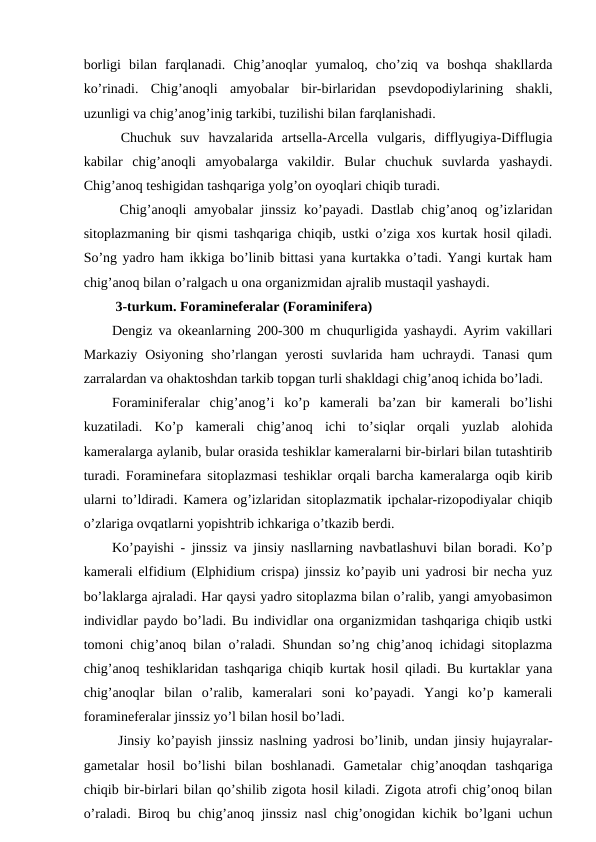 borligi  bilan  farqlanadi.  Chig’anoqlar  yumaloq,  cho’ziq  va  boshqa  shakllarda
ko’rinadi.  Chig’anoqli  amyobalar  bir-birlaridan  psevdopodiylarining  shakli,
uzunligi va chig’anog’inig tarkibi, tuzilishi bilan farqlanishadi. 
 Chuchuk  suv  havzalarida  artsella-Arcella  vulgaris,  difflyugiya-Difflugia
kabilar  chig’anoqli  amyobalarga  vakildir.  Bular  chuchuk  suvlarda  yashaydi.
Chig’anoq teshigidan tashqariga yolg’on oyoqlari chiqib turadi.
 Chig’anoqli amyobalar jinssiz  ko’payadi. Dastlab  chig’anoq og’izlaridan
sitoplazmaning bir qismi tashqariga chiqib, ustki o’ziga xos kurtak hosil qiladi.
So’ng yadro ham ikkiga bo’linib bittasi yana kurtakka o’tadi. Yangi kurtak ham
chig’anoq bilan o’ralgach u ona organizmidan ajralib mustaqil yashaydi.
 3-turkum. Foramineferalar (Foraminifera) 
Dengiz va okeanlarning 200-300 m chuqurligida yashaydi. Ayrim vakillari
Markaziy  Osiyoning  sho’rlangan  yerosti  suvlarida ham  uchraydi. Tanasi  qum
zarralardan va ohaktoshdan tarkib topgan turli shakldagi chig’anoq ichida bo’ladi.
Foraminiferalar  chig’anog’i  ko’p  kamerali  ba’zan  bir  kamerali  bo’lishi
kuzatiladi.  Ko’p  kamerali  chig’anoq  ichi  to’siqlar  orqali  yuzlab  alohida
kameralarga aylanib, bular orasida teshiklar kameralarni bir-birlari bilan tutashtirib
turadi. Foraminefara sitoplazmasi teshiklar orqali barcha kameralarga oqib kirib
ularni to’ldiradi. Kamera og’izlaridan sitoplazmatik ipchalar-rizopodiyalar chiqib
o’zlariga ovqatlarni yopishtrib ichkariga o’tkazib berdi.
Ko’payishi - jinssiz va jinsiy nasllarning navbatlashuvi bilan boradi. Ko’p
kamerali elfidium (Elphidium crispa) jinssiz ko’payib uni yadrosi bir necha yuz
bo’laklarga ajraladi. Har qaysi yadro sitoplazma bilan o’ralib, yangi amyobasimon
individlar paydo bo’ladi. Bu individlar ona organizmidan tashqariga chiqib ustki
tomoni chig’anoq bilan o’raladi. Shundan so’ng chig’anoq ichidagi sitoplazma
chig’anoq teshiklaridan tashqariga chiqib kurtak hosil qiladi. Bu kurtaklar yana
chig’anoqlar  bilan  o’ralib,  kameralari  soni  ko’payadi.  Yangi  ko’p  kamerali
foramineferalar jinssiz yo’l bilan hosil bo’ladi.
 Jinsiy ko’payish jinssiz naslning yadrosi bo’linib, undan jinsiy hujayralar-
gametalar  hosil  bo’lishi  bilan  boshlanadi.  Gametalar  chig’anoqdan  tashqariga
chiqib bir-birlari bilan qo’shilib zigota hosil kiladi. Zigota atrofi chig’onoq bilan
o’raladi. Biroq bu chig’anoq jinssiz nasl chig’onogidan kichik bo’lgani uchun
