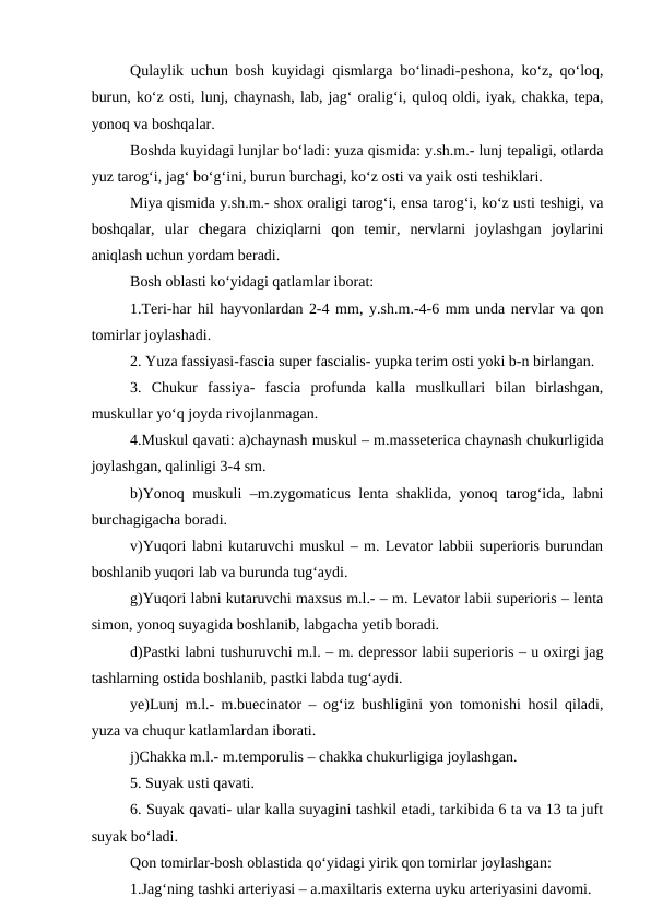 Qulaylik uchun bosh kuyidagi qismlarga bo‘linadi-peshona, ko‘z, qo‘loq,
burun, ko‘z osti, lunj, chaynash, lab, jag‘ oralig‘i, quloq oldi, iyak, chakka, tepa,
yonoq va boshqalar.
Boshda kuyidagi lunjlar bo‘ladi: yuza qismida: y.sh.m.- lunj tepaligi, otlarda
yuz tarog‘i, jag‘ bo‘g‘ini, burun burchagi, ko‘z osti va yaik osti teshiklari.
Miya qismida y.sh.m.- shox oraligi tarog‘i, ensa tarog‘i, ko‘z usti teshigi, va
boshqalar,  ular  chegara  chiziqlarni  qon  temir,  nervlarni  joylashgan  joylarini
aniqlash uchun yordam beradi.
Bosh oblasti ko‘yidagi qatlamlar iborat:
1.Teri-har hil hayvonlardan 2-4 mm, y.sh.m.-4-6 mm unda nervlar va qon
tomirlar joylashadi.
2. Yuza fassiyasi-fascia super fascialis- yupka terim osti yoki b-n birlangan.
 
3.  Chukur  fassiya-  fascia  profunda  kalla  muslkullari  bilan  birlashgan,
muskullar yo‘q joyda rivojlanmagan.
4.Muskul qavati: a)chaynash muskul – m.masseterica chaynash chukurligida
joylashgan, qalinligi 3-4 sm.
b)Yonoq muskuli –m.zygomaticus lenta shaklida, yonoq tarog‘ida, labni
burchagigacha boradi.
v)Yuqori labni kutaruvchi muskul – m. Levator labbii superioris burundan
boshlanib yuqori lab va burunda tug‘aydi.
g)Yuqori labni kutaruvchi maxsus m.l.- – m. Levator labii superioris – lenta
simon, yonoq suyagida boshlanib, labgacha yetib boradi.
d)Pastki labni tushuruvchi m.l. – m. depressor labii superioris – u oxirgi jag
tashlarning ostida boshlanib, pastki labda tug‘aydi.
ye)Lunj m.l.- m.buecinator – og‘iz bushligini yon tomonishi hosil qiladi,
yuza va chuqur katlamlardan iborati.
j)Chakka m.l.- m.temporulis – chakka chukurligiga joylashgan.
5. Suyak usti qavati.
6. Suyak qavati- ular kalla suyagini tashkil etadi, tarkibida 6 ta va 13 ta juft
suyak bo‘ladi.
Qon tomirlar-bosh oblastida qo‘yidagi yirik qon tomirlar joylashgan:
1.Jag‘ning tashki arteriyasi – a.maxiltaris externa uyku arteriyasini davomi.
