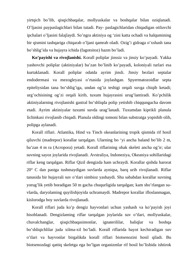 yirtqich  bo’lib,  qisqichbaqalar,  mollyuskalar  va  boshqalar  bilan  oziqlanadi.
O’ljasini paypaslagichlari bilan tutadi. Pay- paslagichlaridan chiqadigan otiluvchi
ipchalari o’ljasini falajlaydi. So’ngra aktiniya og ‘zini katta ochadi va halqumining
bir qismini tashqariga chiqarab o’ljani qamrab oladi. Ozig’i gidraga o’xshash tana
bo’shlig’ida va hujayra ichida (fagotsitoz) hazm bo’ladi.
Ko’payishi va rivojlanishi. Korall poliplar jinssiz va jinsiy ko’payadi. Yakka
yashovchi poliplar (aktiniyalar) ba’zan bo’linib ko’payadi, koloniyali turlari esa
kurtaklanadi.  Korall  poliplar  odatda  ayrim  jinsli.  Jinsiy  bezlari  septalar
endodermasi  va  mezogleyasi  o’rtasida  joylashgan.  Spyermatozoidlar  septa
epiteliysidan tana bo’shlig’iga, undan og’iz teshigi orqali suvga chiqib ketadi;
urg’ochisining og’zi  orqali kirib, tuxum hujayrasini  urug’lantiradi. Ko’pchilik
aktiniyalarning rivojlanishi gastral bo’shliqda polip yetishib chiqqungacha davom
etadi. Ayrim aktiniyalar tuxumi suvda urag’lanadi. Tuxumdan kiprikli planula
lichinkasi rivojlanib chiqadi. Planula oldingi tomoni bilan substratga yopishib olib,
polipga aylanadi.
Korall riflari. Atlantika, Hind va Tinch okeanlarining tropik qismida rif hosil
qiluvchi (madrepor) korallar tarqalgan. Ularning bo ‘yi ancha baland bo’lib 2 m,
ba’zan 4 m ra (Acropora) yetadi. Korall riflarining ohak skeleti ancha og’ir; ular
suvning sayoz joylarida rivojlanadi. Avstraliya, Indoneziya, Okeaniya sohillaridagi
riflar keng tarqalgan. Riflar Qizil dengizda ham uchraydi. Korallar qishda harorat
20° C dan pastga tushmaydigan suvlarda ayniqsa, barq urib rivojlanadi. Riflar
tanasida bir hujayrali suv o’tlari simbioz yashaydi. Shu sababdan korallar suvning
yorug’lik yetib boradigan 50 m gacha chuqurligida tarqalgan; kam sho’rlangan su-
vlarda, daryolaming quyilishjoyida uchramaydi. Madrepor korallar ifloslanmagan,
kislorodga boy suvlarda rivojlanadi.
Korall riflari juda ko’p dengiz hayvonlari uchun yashash va ko’payish joyi
hisoblanadi.  Dengizlaming  riflar  tarqalgan  joylarida  suv  o’tlari,  mollyuskalar,
chuvalchanglar,  qisqichbaqasimonlar,  ignaterililar,  baliqlar  va  boshqa
bo’shliqichlilar juda xilma-xil bo’ladi. Korall riflarida hayot kechiradigan suv
o’tlari  va  hayvonlar  birgalikda  korall  riflari  biotsenozini  hosil  qiladi.  Bu
biotsenozdagi qattiq skeletga ega bo’lgan organizmlar rif hosil bo’lishida ishtirok
