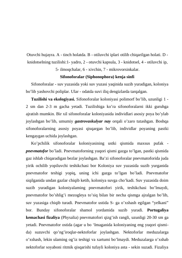 Otuvchi hujayra. A - tinch holatda. В - otiluvchi iplari otilib chiqarilgan holati. D -
knidotselning tuzilishi:1- yadro, 2 - otuvchi kapsula, 3 - knidotsel, 4 - otiluvchi ip,
5- ilmoqchalar, 6 - xivchin, 7 - mikrovorsinkalar.
Sifonoforalar (Siphonophora) kenja sinfi
Sifonoforalar - suv yuzasida yoki suv yuzasi yaqinida suzib yuradigan, koloniya
bo’lib yashovchi poliplar. Ular - odatda suvi iliq dengizlarda tarqalgan.
Tuzilishi va ekologiyasi. Sifonoforalar koloniyasi polimorf bo’lib, uzunligi 1 -
2 sm dan 2-3 m gacha yetadi. Tuzilishiga ko’ra sifonoforalarni ikki guruhga
ajratish mumkin. Bir xil sifonoforalar koloniyasida individlari asosiy poya bo’ylab
joylashgan bo’lib, umumiy gastrovaskulyar nay orqali o’zaro tutashgan. Boshqa
sifonoforalarning  asosiy  poyasi  qisqargan  bo’lib,  individlar  poyaning  pastki
kengaygan uchida joylashgan. 
Ko’pchilik  sifonoforalar  koloniyasining  ustki  qismida  maxsus  pufak  -
pnevmatofor bo’ladi. Pnevmatoforning yuqori qismi gazga to’lgan, pastki qismida
gaz ishlab chiqaradigan bezlar joylashgan. Ba’zi sifonoforalar pnevmatoforida juda
yirik ochilib yopiluvchi teshikchasi bor Koloniya suv yuzasida suzib yurganida
pnevmatofor  teshigi  yopiq,  uning  ichi  gazga  to’lgan  bo’ladi.  Pnevmatofor
siqilganida undan gazlar chiqib ketib, koloniya suvga cho’kadi. Suv yuzasida doim
suzib  yuradigan  koloniyalaming  pnevmatofori  yirik,  teshikchasi  bo’lmaydi,
pnevmatofor bo’shlig’i mezogleya to’siq bilan bir necha qismga ajralgan bo’lib,
suv yuzasiga chiqib turadi. Pnevmatofor ustida S- ga o’xshash egilgan “yelkani”
bor.  Bunday  sifonoforalar  shamol  yordamida  suzib  yuradi.  Portugaliya
kemachasi fizaliya (Physalia) pnevmatofori qizg’ish rangli, uzunligi 20-30 sm ga
yetadi. Pnevmatofor ostida (agar u bo ‘Imaganida koloniyaning eng yuqori qismi-
da)  suzuvchi  qo’ng’iroqlar-nektoforlar  joylashgan.  Nektoforlar  meduzalarga
о’xshash, lekin ulaming og’iz teshigi va xartumi bo’lmaydi. Meduzalarga o’xshab
nektoforlar soyaboni ritmik qisqarishi tufayli koloniya asta - sekin suzadi. Fizaliya
