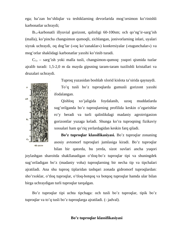 ega;  ba’zan  bo’shliqlar  va  teshiklarning  devorlarida  mog’orsimon  ko’rinishli
karbonatlar uchraydi;
BCa-karbonatli illyuvial gorizont, qalinligi 60-100sm; och qo’ng’ir-sarg’ish
(malla), ko’pincha changsimon qumoqli, zichlangan, jonivorlarning inlari, uyalari
siyrak uchraydi, oq dog’lar («oq ko’zanaklar») konkresiyalar («tugunchalar») va
mog’orlar shaklidagi karbonatlar yaxshi ko’rinib turadi.
CCa – sarg’ish yoki malla tusli, changsimon-qumoq: yuqori qismida tuzlar
ajralib turadi: 1,5-2,0 m da mayda gipsning taram-taram tuzilishli kristallari va
druzalari uchraydi.
Tuproq yuzasidan boshlab xlorid kislota ta’sirida qaynaydi.
To’q  tusli  bo’z  tuproqlarda  gumusli  gorizont  yaxshi
ifodalangan.
Qishloq  xo’jaligida  foydalanib,  uzoq  muddatlarda
sug’orilganda bo’z tuproqlarning profilida keskin o’zgarishlar
ro’y  beradi  va  turli  qalinlikdagi  madaniy  agroirrigasion
gorizontlar yuzaga keladi. Shunga ko’ra tuproqning fizikaviy
xossalari ham qo’riq yerlardagidan keskin farq qiladi.
Bo’z tuproqlar klassifikasiyasi. Bo’z tuproqlar zonaning
asosiy  avtomorf  tuproqlari  jumlasiga  kiradi.  Bo’z  tuproqlar
bilan  bir  qatorda,  bu  yerda,  sizot  suvlari  ancha  yuqori
joylashgan  sharoitda  shakllanadigan  o’tloq-bo’z  tuproqlar  tipi  va  shuningdek
sug’oriladigan bo’z (madaniy voha) tuproqlarning bir  necha tip va tipchalari
ajratiladi. Ana  shu tuproq tiplaridan tashqari  zonada gidromorf  tuproqlardan:
sho’rxoklar, o’tloq tuproqlar, o’tloq-botqoq va botqoq tuproqlar hamda ular bilan
birga uchraydigan turli tuproqlar tarqalgan.
Bo’z  tuproqlar  tipi  uchta  tipchaga:  och  tusli  bo’z  tuproqlar,  tipik  bo’z
tuproqlar va to’q tusli bo’z tuproqlarga ajratiladi. (- jadval).
                                       Bo’z tuproqlar klassifikasiyasi 
