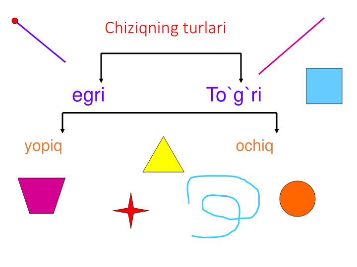 Chiziqning turlari
egri
To`g`ri
yopiq
ochiq
