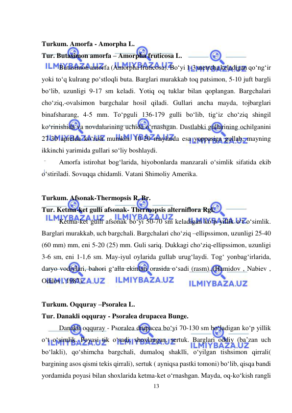  
 
13 
 
Turkum. Amorfa - Amorpha L.  
Tur. Butasimon amorfa – Amorpha fruticosa L.  
Butasimon amorfa (Amorpha fruticosa). Bo‘yi 1-3 metrcha keladigan qo‘ng‘ir 
yoki to‘q kulrang po‘stloqli buta. Barglari murakkab toq patsimon, 5-10 juft bargli 
bo‘lib, uzunligi 9-17 sm keladi. Yotiq oq tuklar bilan qoplangan. Bargchalari 
cho‘ziq,-ovalsimon bargchalar hosil qiladi. Gullari ancha mayda, tojbarglari 
binafsharang, 4-5 mm. To‘pguli 136-179 gulli bo‘lib, tig‘iz cho‘ziq shingil 
ko‘rinishida va novdalarining uchida o‘rnashgan. Dastlabki gullarining ochilganini 
27-30 aprelda ko‘rish mumkin. 10-20 maylarda esa yoppasiga gullab, mayning 
ikkinchi yarimida gullari so‘liy boshlaydi. 
Amorfa istirohat bog‘larida, hiyobonlarda manzarali o‘simlik sifatida ekib 
o‘stiriladi. Sovuqqa chidamli. Vatani Shimoliy Amerika. 
 
Turkum. Afsonak-Thermopsis R. Br. 
Tur. Ketma-ket gulli afsonak- Thermopsis alterniflora Rgl. 
Ketma-ket gulli afsonak bo‘yi 50-70 sm keladigan ko‘p yillik o‘t o‘simlik. 
Barglari murakkab, uch bargchali. Bargchalari cho‘ziq –ellipssimon, uzunligi 25-40 
(60 mm) mm, eni 5-20 (25) mm. Guli sariq. Dukkagi cho‘ziq-ellipssimon, uzunligi 
3-6 sm, eni 1-1,6 sm. May-iyul oylarida gullab urug‘laydi. Tog‘ yonbag‘irlarida, 
daryo vodiylari, bahori g‘alla ekinlari orasida o‘sadi (rasm).,(Hamidov , Nabiev , 
Odilov , 1987).  
 
Turkum. Oqquray –Psoralea L.   
Tur. Danakli oqquray - Psoralea drupacea Bunge. 
Danakli oqquray - Psoralea drupacea bo‘yi 70-130 sm bo‘ladigan ko‘p yillik 
o‘t o‘simlik. Poyasi tik o‘sadi, shoxlangan, sertuk. Barglari oddiy (ba’zan uch 
bo‘lakli), qo‘shimcha bargchali, dumaloq shaklli, o‘yilgan tishsimon qirrali( 
bargining asos qismi tekis qirrali), sertuk ( ayniqsa pastki tomoni) bo‘lib, qisqa bandi 
yordamida poyasi bilan shoxlarida ketma-ket o‘rnashgan. Mayda, oq-ko‘kish rangli 
