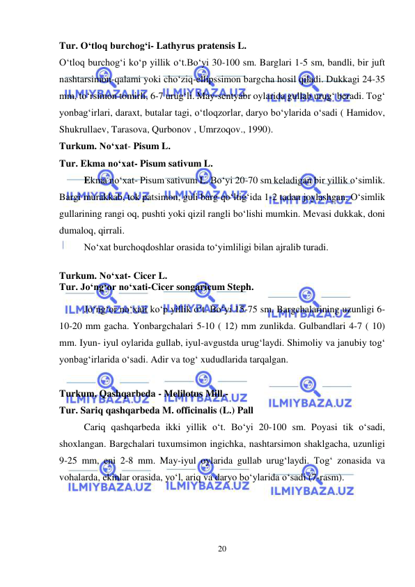  
 
20 
Tur. O‘tloq burchog‘i- Lathyrus pratensis L. 
O‘tloq burchog‘i ko‘p yillik o‘t.Bo‘yi 30-100 sm. Barglari 1-5 sm, bandli, bir juft 
nashtarsimon-qalami yoki cho‘ziq-ellipssimon bargcha hosil qiladi. Dukkagi 24-35 
mm, to‘rsimon tomirli, 6-7 urug‘li. May-sentyabr oylarida gullab urug‘ beradi. Tog‘ 
yonbag‘irlari, daraxt, butalar tagi, o‘tloqzorlar, daryo bo‘ylarida o‘sadi ( Hamidov, 
Shukrullaev, Tarasova, Qurbonov , Umrzoqov., 1990). 
Turkum. No‘xat- Pisum L. 
Tur. Ekma no‘xat- Pisum sativum L. 
Ekma no‘xat- Pisum sativum L. Bo‘yi 20-70 sm keladigan bir yillik o‘simlik. 
Bargi murakkab, tok patsimon, guli barg qo‘ltig‘ida 1-2 tadan joylashgan. O‘simlik 
gullarining rangi oq, pushti yoki qizil rangli bo‘lishi mumkin. Mevasi dukkak, doni 
dumaloq, qirrali. 
No‘xat burchoqdoshlar orasida to‘yimliligi bilan ajralib turadi. 
 
Turkum. No‘xat- Cicer L.  
Tur. Jo‘ng‘or no‘xati-Cicer songaricum Steph. 
 
 
Jo‘ng‘or no‘xati ko‘p yillik o‘t. Bo‘yi 15-75 sm. Bargchalarining uzunligi 6-
10-20 mm gacha. Yonbargchalari 5-10 ( 12) mm zunlikda. Gulbandlari 4-7 ( 10) 
mm. Iyun- iyul oylarida gullab, iyul-avgustda urug‘laydi. Shimoliy va janubiy tog‘ 
yonbag‘irlarida o‘sadi. Adir va tog‘ xududlarida tarqalgan. 
 
Turkum. Qashqarbeda - Melilotus Mill.-  
Tur. Sariq qashqarbeda M. officinalis (L.) Pall 
Cariq qashqarbeda ikki yillik o‘t. Bo‘yi 20-100 sm. Poyasi tik o‘sadi, 
shoxlangan. Bargchalari tuxumsimon ingichka, nashtarsimon shaklgacha, uzunligi 
9-25 mm, eni 2-8 mm. May-iyul oylarida gullab urug‘laydi. Tog‘ zonasida va 
vohalarda, ekinlar orasida, yo‘l, ariq va daryo bo‘ylarida o‘sadi (7-rasm). 
 
