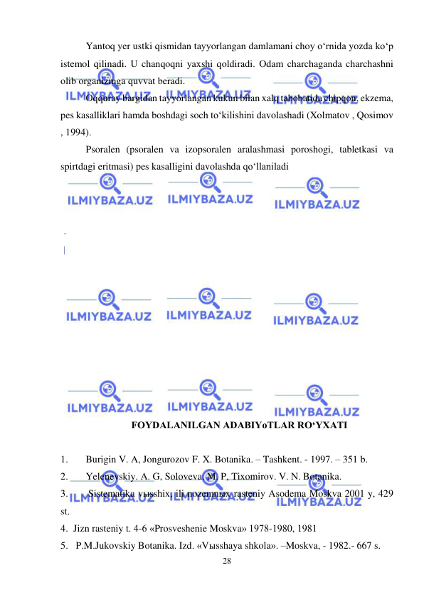  
 
28 
Yantoq yer ustki qismidan tayyorlangan damlamani choy o‘rnida yozda ko‘p 
istemol qilinadi. U chanqoqni yaxshi qoldiradi. Odam charchaganda charchashni 
olib organizmga quvvat beradi. 
 
Oqquray bargidan tayyorlangan kukun bilan xalq tabobatida chipqon, ekzema, 
pes kasalliklari hamda boshdagi soch to‘kilishini davolashadi (Xolmatov , Qosimov 
, 1994). 
Psoralen (psoralen va izopsoralen aralashmasi poroshogi, tabletkasi va 
spirtdagi eritmasi) pes kasalligini davolashda qo‘llaniladi                                                       
 
 
 
 
 
 
 
 
 
 
 
 
 
 
FOYDALANILGAN ADABIYoTLAR RO‘YXATI 
 
1. 
Burigin V. A, Jongurozov F. X. Botanika. – Tashkent. - 1997. – 351 b. 
2. 
Yelenevskiy. A. G, Soloveva. M. P, Tixomirov. V. N. Botanika. 
3. 
 Sistematika vыsshix, ili nozemnыx rasteniy Asodema Moskva 2001 y, 429 
st.  
4. Jizn rasteniy t. 4-6 «Prosveshenie Moskva» 1978-1980, 1981 
5.  P.M.Jukovskiy Botanika. Izd. «Vыsshaya shkola». –Moskva, - 1982.- 667 s.  
