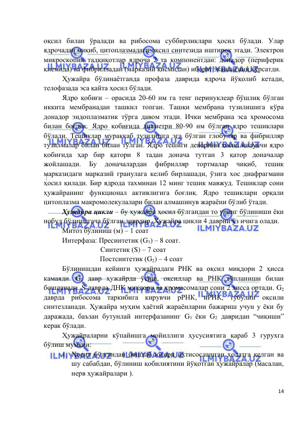  
 
 
14 
оқсил билан ўралади ва рибосома суббирликлари ҳосил бўлади. Улар 
ядрочадан чиқиб, цитоплазмадаги оқсил синтезида иштирок этади. Электрон 
микроскопик тадқиқотлар ядроча 2 та компонентдан: донадор (периферик 
қисмида) ва фибрилладан (марказий қисмидан) иборат эканлигини кўрсатди.  
Ҳужайра бўлинаётганда профаза даврида ядроча йўқолиб кетади, 
телофазада эса қайта ҳосил бўлади.  
Ядро қобиғи – орасида 20-60 нм га тенг перинуклеар бўшлиқ бўлган 
иккита мембранадан ташкил топган. Ташқи мембрана тузилишига кўра 
донадор эндоплазматик тўрга давом этади. Ички мембрана эса хромосома 
билан боғлиқ. Ядро қобиғида диаметри 80-90 нм бўлган ядро тешиклари 
бўлади. Тешиклар мураккаб тузилишга эга бўлган глобуляр ва фибрилляр 
тузилмалар билан билан тўлган. Ядро тешиги деворини ҳосил қилувчи ядро 
қобиғида ҳар бир қатори 8 тадан донача тутган 3 қатор доначалар 
жойлашади. 
Бу 
доначалардан 
фибрилляр 
тортмалар 
чиқиб, 
тешик 
марказидаги марказий гранулага келиб бирлашади, ўзига хос диафрагмани 
ҳосил қилади. Бир ядрода тахминан 12 минг тешик мавжуд. Тешиклар сони 
ҳужайранинг функционал активлигига боғлиқ. Ядро тешиклари орқали 
цитоплазма макромолекулалари билан алмашинув жараёни бўлиб ўтади.  
Ҳужайра цикли – бу ҳужайра ҳосил бўлгандан то унинг бўлиниши ёки 
нобуд бўлишигача бўлган даврдир. Ҳужайра цикли 4 даврни ўз ичига олади. 
Митоз бўлиниш (м) – 1 соат 
Интерфаза: Пресинтетик (G1) – 8 соат. 
           Синтетик (S) – 7 соат 
                     Постсинтетик (G2) – 4 соат 
Бўлинишдан кейинги ҳужайрадаги РНК ва оқсил миқдори 2 ҳисса 
камаяди. G1 давр ҳужайрда ўсиш, оқсиллар ва РНК тўпланиши билан 
бошланади. S даврда ДНК миқдори ва хромасомалар сони 2 ҳисса ортади. G2 
даврда рибосома таркибига кирувчи рРНК, иРНК, тубулин оқсили 
синтезланади. Ҳужайра муҳим ҳаётий жараёнларни бажариш учун у ёки бу 
даражада, баъзан бутунлай интерфазанинг G1 ёки G2 давридан “чиқиши” 
керак бўлади.  
Ҳужайраларни кўпайишга мойиллиги ҳусусиятига қараб 3 гурухга 
бўлиш мумкин: 
1. Ҳосил бўлгандан бошлаб юқори ихтисослашган ҳолатга келган ва 
шу сабабдан, бўлиниш қобилиятини йўқотган ҳужайралар (масалан, 
нерв ҳужайралари ). 
