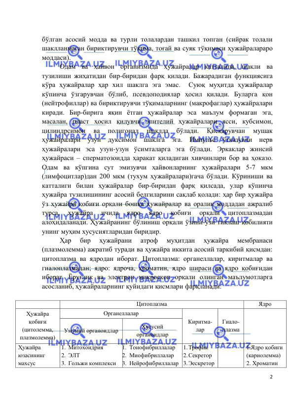  
 
 
2 
бўлган асосий модда ва турли толалардан ташкил топган (сийрак толали 
шаклланмаган бириктирувчи тўқима, тоғай ва суяк тўқимаси ҳужайралараро 
моддаси). 
Одам ва ҳайвон организмида ҳужайралар катталиги, шакли ва 
тузилиши жиҳатидан бир-биридан фарқ қилади. Бажарадиган функциясига 
кўра ҳужайралар ҳар хил шаклга эга эмас.  Суюқ муҳитда ҳужайралар 
кўпинча ўзгарувчан бўлиб, псевдоподиялар ҳосил қилади. Буларга қон 
(нейтрофиллар) ва бириктирувчи тўқималарнинг (макрофаглар) ҳужайралари 
киради. Бир-бирига яқин ётган ҳужайралар эса маълум формаган эга, 
масалан, пласт ҳосил қилувчи эпителий ҳужайралари ясси, кубсимон, 
цилиндрсимон 
ва 
полигонал 
шаклда 
бўлади. 
Қисқарувчан 
мушак 
ҳужайралари узун дуксимон шаклга эга. Импульс ўтказувчи нерв 
ҳужайралари эса узун-узун ўсимталарга эга бўлади. Эркаклар жинсий 
ҳужайраси – сперматозоидда ҳаракат қиладиган хивчинлари бор ва ҳоказо. 
Одам ва кўпгина сут эмизувчи ҳайвонларнинг ҳужайралари 5-7 мкм 
(лимфоцитлар)дан 200 мкм (тухум ҳужайралари)гача бўлади. Кўриниши ва 
катталиги билан ҳужайралар бир-биридан фарқ қилсада, улар кўпинча 
ҳужайра тузилишининг асосий белгиларини сақлаб қолади: ҳар бир ҳужайра 
ўз ҳужайра қобиғи орқали бошқа ҳужайралар ва оралиқ моддадан ажралиб 
турса, 
ҳужайра 
ичида 
ядро 
ядро 
қобиғи 
орқали 
цитоплазмадан 
алоҳидаланади. Ҳужайранинг бўлиниш орқали ўзини-ўзи тиклаш қобилияти 
унинг муҳим хусусиятларидан биридир.  
Ҳар 
бир 
ҳужайрани 
атроф 
муҳитдан 
ҳужайра 
мембранаси 
(плазмолемма) ажратиб туради ва ҳужайра иккита асосий таркибий қисмдан: 
цитоплазма ва ядродан иборат. Цитоплазма: органеллалар, киритмалар ва 
гиалоплазмадан; ядро: ядроча, ҳроматин, ядро шираси ва ядро қобиғидан 
иборат. Ёруғлик ва электрон микроскоп орқали олинган маълумотларга 
асосланиб, ҳужайраларнинг қуйидаги қисмлари фарқланади: 
 
 
Цитоплазма 
Ядро 
Ҳужайра 
қобиғи 
(цитолемма, 
плазмолемма) 
Органеллалар 
Киритма-
лар 
Гиало- 
плазма 
 
Умумий органоидлар 
Хусусий 
органоидлар 
Ҳужайра 
юзасининг 
махсус 
1. Митохондрия 
2. ЭЛТ 
3. Гольжи комплекси 
1. Тонофибриллалар 
2. Миофибриллалар 
3. Нейрофибриллалар 
1. Трофик 
2. Секретор 
3. Эескретор 
 
1.Ядро қобиғи 
(кариолемма) 
2. Хроматин 
