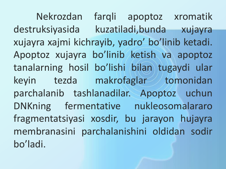 Nekrozdan
farqli
apoptoz
xromatik
destruksiyasida
kuzatiladi,bunda
xujayra
xujayra xajmi kichrayib, yadro’ bo’linib ketadi.
Apoptoz xujayra bo’linib ketish va apoptoz
tanalarning hosil bo’lishi bilan tugaydi ular
keyin
tezda
makrofaglar
tomonidan
parchalanib
tashlanadilar.
Apoptoz
uchun
DNKning
fermentative
nukleosomalararo
fragmentatsiyasi xosdir, bu jarayon hujayra
membranasini parchalanishini oldidan sodir
bo’ladi.
