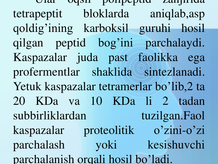 Ular
oqsil
polipeptid
zanjirida
tetrapeptit
bloklarda
aniqlab,asp
qoldig’ining
karboksil
guruhi
hosil
qilgan
peptid
bog’ini
parchalaydi.
Kaspazalar
juda
past
faolikka
ega
profermentlar
shaklida
sintezlanadi.
Yetuk kaspazalar tetramerlar bo’lib,2 ta
20
KDa
va
10
KDa
li
2
tadan
subbirliklardan
tuzilgan.Faol
kaspazalar
proteolitik
o’zini-o’zi
parchalash
yoki
kesishuvchi
parchalanish orqali hosil bo’ladi.
