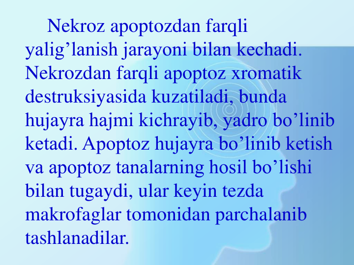 Nekroz apoptozdan farqli 
yalig’lanish jarayoni bilan kechadi. 
Nekrozdan farqli apoptoz xromatik 
destruksiyasida kuzatiladi, bunda 
hujayra hajmi kichrayib, yadro bo’linib 
ketadi. Apoptoz hujayra bo’linib ketish 
va apoptoz tanalarning hosil bo’lishi 
bilan tugaydi, ular keyin tezda 
makrofaglar tomonidan parchalanib 
tashlanadilar.
