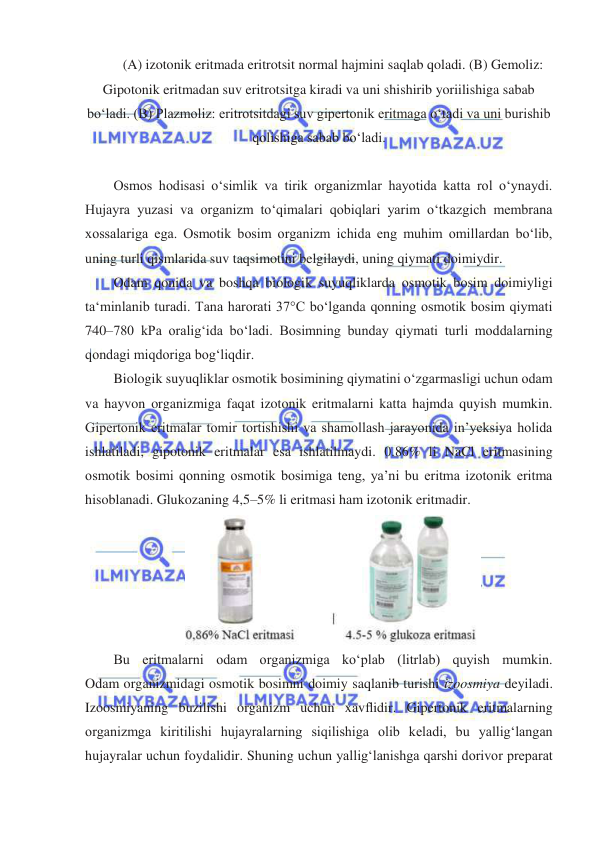  
 
(A) izotonik eritmada eritrotsit normal hajmini saqlab qoladi. (B) Gemoliz: 
Gipotonik eritmadan suv eritrotsitga kiradi va uni shishirib yoriilishiga sabab 
boʻladi. (B) Plazmoliz: eritrotsitdagi suv gipertonik eritmaga oʻtadi va uni burishib 
qolishiga sabab boʻladi. 
 
Osmos hodisasi oʻsimlik va tirik organizmlar hayotida katta rol oʻynaydi. 
Hujayra yuzasi va organizm toʻqimalari qobiqlari yarim oʻtkazgich membrana 
xossalariga ega. Osmotik bosim organizm ichida eng muhim omillardan boʻlib, 
uning turli qismlarida suv taqsimotini belgilaydi, uning qiymati doimiydir. 
Odam qonida va boshqa biologik suyuqliklarda osmotik bosim doimiyligi 
ta‘minlanib turadi. Tana harorati 37°C boʻlganda qonning osmotik bosim qiymati 
740–780 kPa oraligʻida boʻladi. Bosimning bunday qiymati turli moddalarning 
qondagi miqdoriga bogʻliqdir. 
Biologik suyuqliklar osmotik bosimining qiymatini oʻzgarmasligi uchun odam 
va hayvon organizmiga faqat izotonik eritmalarni katta hajmda quyish mumkin. 
Gipertonik eritmalar tomir tortishishi va shamollash jarayonida in’yeksiya holida 
ishlatiladi, gipotonik eritmalar esa ishlatilmaydi. 0.86% li NaCl eritmasining 
osmotik bosimi qonning osmotik bosimiga teng, ya’ni bu eritma izotonik eritma 
hisoblanadi. Glukozaning 4,5–5% li eritmasi ham izotonik eritmadir.  
 
Bu eritmalarni odam organizmiga koʻplab (litrlab) quyish mumkin. 
Odam organizmidagi osmotik bosimni doimiy saqlanib turishi izoosmiya deyiladi. 
Izoosmiyaning buzilishi organizm uchun xavﬂidir. Gipertonik eritmalarning 
organizmga kiritilishi hujayralarning siqilishiga olib keladi, bu yalligʻlangan 
hujayralar uchun foydalidir. Shuning uchun yalligʻlanishga qarshi dorivor preparat 
