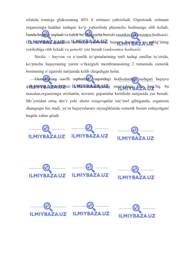  
 
sifatida tomirga glukozaning 40% li eritmasi yuboriladi. Gipertonik eritmani 
organizmga haddan tashqari koʻp yuborilishi plazmoliz hodisasiga olib keladi, 
bunda hujayra siqiladi va halok boʻlishigacha borishi mumkin (ekzoosmos hodisasi). 
Oʻz navbatida gipotonik eritmalar yuborilsa, hujayra boʻrtishi va qobigʻining 
yorilishiga olib keladi va gemoliz yuz beradi (endoosmos hodisasi). 
Sitoliz – hayvon va oʻsimlik toʻqimalarining turli tashqi omillar ta’sirida, 
koʻpincha hujayraning yarim oʻtkazgich membranasining 2 tomonida osmotik 
bosimning oʻzgarishi natijasida kelib chiqadigan holat. 
Gemolizning xavﬂi oqibatlari yuqoridagi hodisalardan tashqari hujayra 
qobigʻining (membrana) oʻtkazuvchanligining susayishiga ham bogʻliq, bu 
masalan,organizmga strofantin, novurit, geparinlar kiritilishi natijasida yuz beradi. 
Me’yoridan ortiq shoʻr yoki shirin oziqovqatlar iste’mol qilinganda, organizm 
chanqoqni his etadi, ya’ni hujayralararo suyuqliklarda osmotik bosim oshayotgani 
haqida xabar qiladi. 
 
