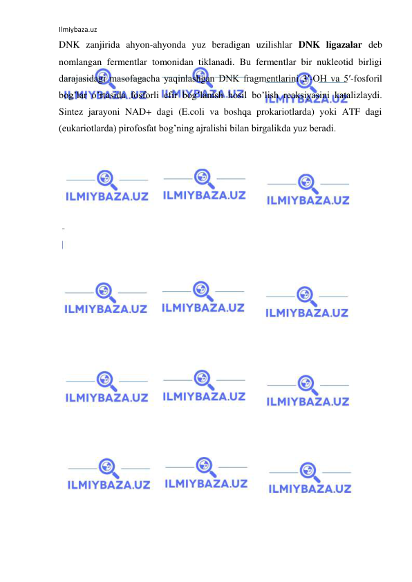 Ilmiybaza.uz 
 
DNK zanjirida ahyon-ahyonda yuz beradigan uzilishlar DNK ligazalar deb 
nomlangan fermentlar tomonidan tiklanadi. Bu fermentlar bir nukleotid birligi 
darajasidagi masofagacha yaqinlashgan DNK fragmentlarini 3′-OH va 5′-fosforil 
bog’lar o’rtasida fosforli efir bog’lanish hosil bo’lish reaksiyasini katalizlaydi. 
Sintez jarayoni NAD+ dagi (E.coli va boshqa prokariotlarda) yoki ATF dagi 
(eukariotlarda) pirofosfat bog’ning ajralishi bilan birgalikda yuz beradi.  
    
 
 
