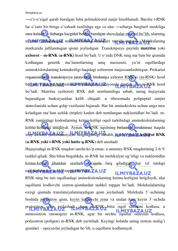 Ilmiybaza.uz 
 
―o’z-o’ziga‖ qarab buralgan bitta polinukleotid zanjir hisoblanadi. Barcha t-RNK 
lar o’zaro bir-biriga o’xshash tuzilishga ega va ular ―sebarga barglari‖ modeliga 
mos keladi. ―Sebarga bargida‖ beshta buralgan shoxchalar mavjud bo’lib, ularning 
to’rttasi juftlanmagan nukleotidlarning ilmoqlari tarzida tugaydi. Molekulaning 
markazida juftlanmagan qismi joylashgan. Transkripsiya paytida matritsa yoki 
axborot ‒ m-RNK (a-RNK) hosil bo’ladi. U o’zida DNK ning ma‘lum bir qismida 
kodlangan 
genetik 
ma‘lumotlarning 
aniq 
nusxasini, 
ya‘ni 
oqsillardagi 
aminokislotalarning ketmaketligi haqidagi axborotni mujassamlashtirgan. Prokariot 
organizmlarda transkripsiya jarayonida birdaniga axborot RNK si (m-RNK) hosil 
bo’ladi. Eukariot hujayralarda transkripsiya jarayonida dastlab, pro-m-RNK hosil 
bo’ladi. Matritsa (axborot) RNK deb nomlanishiga sabab, uning hujayrada 
bajaradigan funksiyasidan kelib chiqadi: u ribosomada polipeptid zanjiri 
sintezlanishi uchun qolip vazifasini bajaradi. Har bir aminokislota uchun unga mos 
keladigan ma‘lum uchlik (triplet) kodon deb nomlangan nukleotidlari bo’ladi. m-
RNK zanjiridagi kodonlarning ketma-ketligi oqsil tarkibidagi aminokislotalarning 
ketma-ketligini aniqlaydi. Aynan, m-RNK oqsilning birlamchi strukturasi haqida 
irsiy axborot (informatsiya)ni belgilaganligi sababli, uni ko’pincha axborot RNK 
(a-RNK yoki i-RNK yoki hatto q-RNK) deb atashadi.  
Hujayradagi m-RNK miqdori uncha ko’p emas: u umumiy RNK miqdorining 2-6 % 
tashkil qiladi. Shu bilan birgalikda, m-RNK lar molekulyar og’irligi va nukleotidlar 
ketma-ketligi jihatidan sezilarli darajada farq qiladigan har xil turdagi 
molekulalardan tashkil topgan bo’ladi.  
RNK ning bu turi oqsillardagi aminokislotalarning ketma-ketligini belgilaydi, ular 
oqsillarni kodlovchi sistron-qismlardan tashkil topgan bo’ladi. Molekulalarning 
oxirgi qismida translatsiyalanmaydigan qism joylashadi. Molekula 5´-uchining 
boshida presistron qism, keyin kodlovchi zona va undan ham keyin 3´-uchida 
postsistron qism joylashadi. Agar m-RNK bitta oqsil sintezini kodlasa, u 
monosistron (monogen) m-RNK, agar bir nechta oqsillar sintezini kodlasa, 
polisistron (poligen) m-RNK deb yuritiladi. Keyingi holatda uning sistron oralig’i 
qismlari ‒ speyserlar joylashgan bo’lib, u oqsillarni kodlamaydi.  
