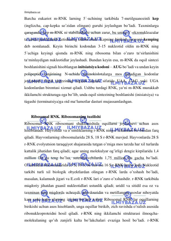 Ilmiybaza.uz 
 
Barcha eukariot m-RNK larning 5´-uchining tarkibida 7-metilguanozinli kep 
(inglizcha, cap-kepka so’zidan olingan) guruhi joylashgan bo’ladi. Taxminlarga 
qaraganda, kep m-RNK ni stabillashishi uchun zarur, bu uning 5´-ekzonukleazalar 
ta‘sirida parchalanib ketishining oldini oladi. Kepning birikish jarayoni kemping 
deb nomlanadi. Keyin birinchi kodondan 3-15 nukleotid oldin m-RNK ning 
5´uchiga keyingi qismda m-RNK ning ribosoma bilan o’zaro ta‘sirlanishini 
ta‘minlaydigan nukleotidlar joylashadi. Bundan keyin esa, m-RNK da oqsil sintezi 
boshlanishini signali hisoblangan initsiatsiya kodoni ‒ AUG bo’ladi va undan keyin 
polipeptid zanjirining N-uchida aminokislotalarga mos keladigan kodonlar 
joylashadi. Oqsil sintezining tugashi signali sifatida UAA, UAG yoki UGA 
kodonlardan birontasi xizmat qiladi. Ushbu turdagi RNK, ya‘ni m-RNK murakkab 
ikkilamchi strukturaga ega bo’lib, unda oqsil sintezining boshlanishi (inisiatsiya) va 
tugashi (terminatsiya)ga oid ma‘lumotlar dasturi mujassamlashgan.  
 
 Ribosomal RNK. Ribosomaning tuzilishi  
Ribosomal RNK ribosomani shakllanishida oqsillarni joylashuvi uchun asos 
hisoblanadi. Hayvonlar va o’simliklarning r-RNK ning o’lchamlari bir-biridan farq 
qiladi. Hayvonlarning ribosomalarida 28 S, 18 S r-RNK mavjud. Hayvonlarda 28 S 
r-RNK evolyutsion taraqqiyot shajarasida tutgan o’rniga mos tarzda har xil turlarda 
kattalik jihatidan farq qiladi; agar uning molekulyar og’irligi dengiz kirpilarida 1,4 
million Da ga teng bo’lsa, sutemizuvchilarda 1,75 million Da gacha bo’ladi. 
O’simliklar ribosomalarida 25 S, 18 S, ba‘zan esa 16 S r-RNK lar bo’ladi. Nukleotid 
tarkibi turli xil biologik obyektlardan olingan r-RNK larda o’xshash bo’ladi, 
masalan, kalamush jigari va E.coli r-RNK lari o’zaro o’xshashdir. r-RNK tarkibida 
miqdoriy jihatdan guanil nukleotidlari ustunlik qiladi; uridil va sitidil esa oz va 
taxminan teng miqdorda uchraydi; psevdouridin va metillangan asoslar nihoyatda 
kam yoki hatto ularning izigina bo’ladi xolos. Ribosomal RNK lar oqsillarning 
birikishi uchun asos hisoblanib, unga oqsillar birikib, zich ravishda o’ralish asosida 
ribonukleoproteidni hosil qiladi. r-RNK ning ikkilamchi strukturasi ilmoqcha-
molekulaning qo’sh zanjirli kalta bo’lakchalari evaziga hosil bo’ladi. r-RNK 
