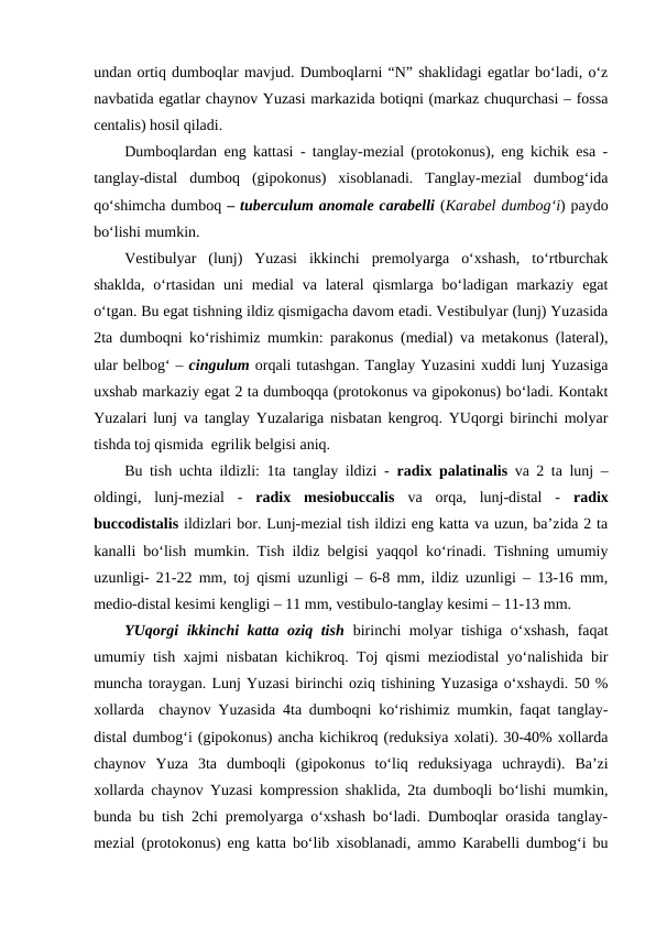 undan ortiq dumboqlar mavjud. Dumboqlarni “N” shaklidagi egatlar bo‘ladi, o‘z
navbatida egatlar chaynov Yuzasi markazida botiqni (markaz chuqurchasi – fossa
centalis) hosil qiladi. 
Dumboqlardan eng kattasi - tanglay-mezial (protokonus), eng kichik esa -
tanglay-distal  dumboq  (gipokonus)  xisoblanadi.  Tanglay-mezial  dumbog‘ida
qo‘shimcha dumboq – tuberculum anomale carabelli (Karabel dumbog‘i) paydo
bo‘lishi mumkin. 
Vestibulyar  (lunj)  Yuzasi  ikkinchi  premolyarga  o‘xshash,  to‘rtburchak
shaklda,  o‘rtasidan  uni  medial  va  lateral  qismlarga  bo‘ladigan markaziy  egat
o‘tgan. Bu egat tishning ildiz qismigacha davom etadi. Vestibulyar (lunj) Yuzasida
2ta dumboqni ko‘rishimiz mumkin: parakonus (medial) va metakonus (lateral),
ular belbog‘ – cingulum orqali tutashgan. Tanglay Yuzasini xuddi lunj Yuzasiga
uxshab markaziy egat 2 ta dumboqqa (protokonus va gipokonus) bo‘ladi. Kontakt
Yuzalari lunj va tanglay Yuzalariga nisbatan kengroq. YUqorgi birinchi molyar
tishda toj qismida  egrilik belgisi aniq. 
Bu tish uchta ildizli: 1ta tanglay ildizi -  radix palatinalis  va 2 ta lunj –
oldingi,  lunj-mezial  - radix  mesiobuccalis va  orqa,  lunj-distal  - radix
buccodistalis ildizlari bor. Lunj-mezial tish ildizi eng katta va uzun, ba’zida 2 ta
kanalli bo‘lish mumkin. Tish ildiz belgisi yaqqol ko‘rinadi. Tishning umumiy
uzunligi- 21-22 mm, toj qismi uzunligi – 6-8 mm, ildiz uzunligi – 13-16 mm,
medio-distal kesimi kengligi – 11 mm, vestibulo-tanglay kesimi – 11-13 mm. 
YUqorgi  ikkinchi katta oziq tish  birinchi molyar tishiga o‘xshash,  faqat
umumiy tish xajmi nisbatan kichikroq. Toj qismi meziodistal yo‘nalishida bir
muncha toraygan. Lunj Yuzasi birinchi oziq tishining Yuzasiga o‘xshaydi. 50 %
xollarda  chaynov Yuzasida 4ta dumboqni ko‘rishimiz mumkin, faqat tanglay-
distal dumbog‘i (gipokonus) ancha kichikroq (reduksiya xolati). 30-40% xollarda
chaynov  Yuza  3ta  dumboqli  (gipokonus  to‘liq  reduksiyaga  uchraydi).  Ba’zi
xollarda chaynov Yuzasi kompression shaklida, 2ta dumboqli bo‘lishi mumkin,
bunda bu tish 2chi premolyarga o‘xshash bo‘ladi. Dumboqlar orasida tanglay-
mezial (protokonus) eng katta bo‘lib xisoblanadi, ammo Karabelli dumbog‘i bu

