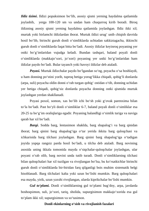 Ildiz tizimi. Ildizi popuksimon bo‘lib, asosiy qismi yerning haydalma qatlamida
joylashib,   yerga  100-120  sm  va  undan  ham  chuqurroq  kirib  boradi.  Biroq
ildizning asosiy qismi yerning haydalma qatlamida joylashgan. Ildiz ikki xil;
murtak yoki birlamchi ildizlardan iborat. Murtak ildizi urug‘ unib chiqish davrida
hosil bo‘lib, birinchi guruh donli o‘simliklarda uchtadan sakkiztagacha, ikkinchi
guruh donli o‘simliklarda faqat bitta bo‘ladi. Asosiy ildizlar keyinroq poyaning yer
ostki  bo‘g‘imlaridan  vujudga  keladi.  Bundan  tashqari,  baland  poyali  donli
o‘simliklarda  (makkajo‘xori,  jo‘xori)  poyaning  yer  ustki  bo‘g‘imlaridan  ham
ildizlar paydo bo‘ladi. Bular tayanch yoki havoyi ildizlar deb ataladi.
Poyasi. Murtak ildizchalar paydo bo‘lgandan so‘ng, poyacha o‘sa boshlaydi,
u ham donning po‘stini yorib, tuproq betiga yorug‘likka chiqadi, qobig‘li donlarda
(arpa, suli) poyacha oldin donni o‘rab turgan qobig‘ ostidan o‘tib, donning uchidan
yer betiga chiqadi, qobig‘siz donlarda poyacha donning ostki qismida murtak
joylashgan yerdan shakllanadi.
Poyasi poxol, somon, xas bo‘lib ichi bo‘sh yoki g‘ovak parenxima bilan
to‘la bo‘ladi. Past bo‘yli donli o‘simliklar 6-7, baland poyali donli o‘simliklar esa
20-25 ta bo‘g‘im oraliqlariga egadir. Poyaning balandligi o‘simlik turiga va naviga
qarab har xil bo‘ladi.
Bargi. Sodda barg, lentasimon shaklda, barg shapalog‘i va barg qinidan
iborat;  barg  qinini  barg  shapalog‘iga  o‘tar  yerida  ikkita  barg  quloqchasi  va
ichkarisida  barg  tilchasi  joylashgan.  Barg  qinini  barg  shapalog‘iga  o‘tadigan
joyida yupqa rangsiz parda hosil bo‘ladi, u tilcha deb ataladi. Barg novining
asosida uning ikkala tomonida mayda o‘siqchalar-quloqchalar joylashgan, ular
poyani o‘rab olib, barg novini unda tutib turadi. Donli o‘simliklarning tilchasi
bilan quloqchalari har xil tuzilgan va rivojlangan bo‘lsa, bu ko‘rsatkichlar birinchi
guruh donli o‘simliklarda bir-biridan farq qilganligi bois muhim sistematik belgi
hisoblanadi. Barg tilchalari kalta yoki uzun bo‘lishi mumkin. Barg quloqchalari
esa mayda, yirik, uzun yaxshi rivojlangan, ularda kiprikchalar bo‘lishi mumkin.
Gul to‘plami. Donli o‘simliklarning gul to‘plami bug‘doy, arpa, javdarda
boshoqsimon, suli, jo‘xori, tariq, sholida, supurgisimon makkajo‘xorida esa gul
to‘plam ikki xil; supurgisimon va so‘tasimon. 
Donli ekinlarning o‘sish va rivojlanish fazalari
