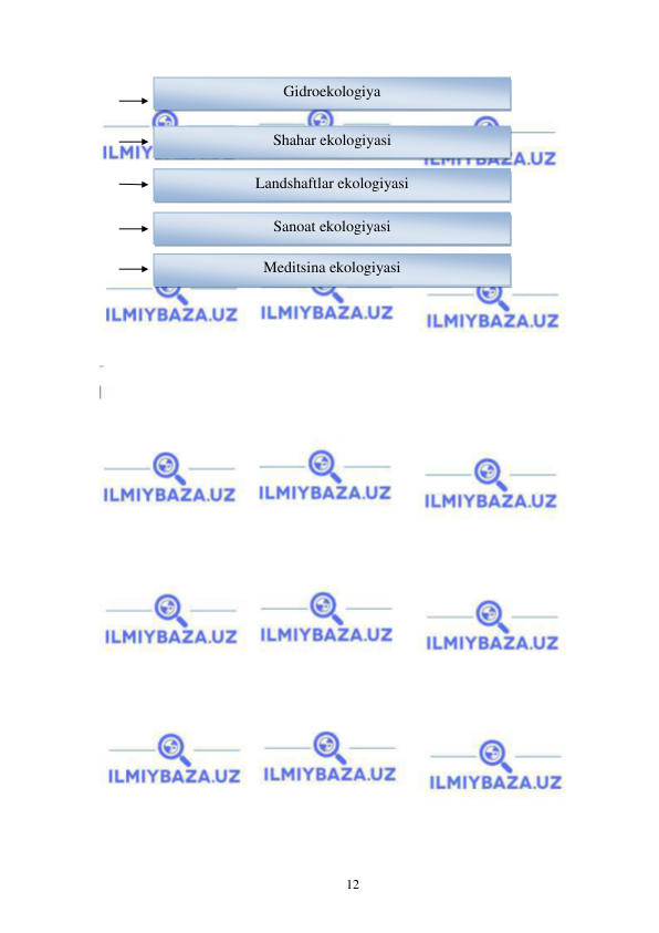  
 
12 
 
 
 
 
 
 
 
 
 
Gidroekologiya 
Shahar ekologiyasi 
  
Landshaftlar ekologiyasi 
 
Sanoat ekologiyasi 
 
Meditsina ekologiyasi 
 
