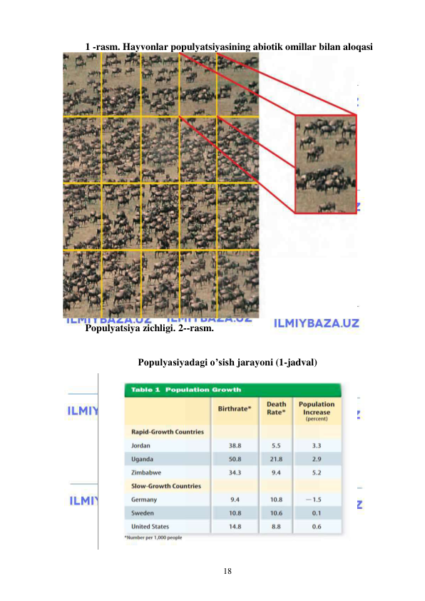  
 
18 
1 -rasm. Hayvonlar populyatsiyasining abiotik omillar bilan aloqasi 
 
 
 
 
 
 
 
 
 
 
 
 
Populyatsiya zichligi. 2--rasm. 
 
Populyasiyadagi o’sish jarayoni (1-jadval) 
 
