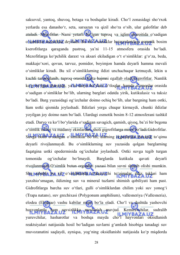  
 
28 
saksovul, yantoq, shuvoq, betaga va boshqalar kiradi. Cho‘l zonasidagi sho‘rxok 
yerlarda esa danasho‘r, seta, sarsazan va qizil sho‘ra o‘sib, ular galofitlar deb 
ataladi. Mezofitlar. Nami yetarli bo‘lgan tuproq va iqlim sharoitida o‘sadigan 
o‘simliklar mezofitlar deyiladi. Bu xil o‘simliklar hujayralaridagi osmotik bosim 
kserofitlarga qaraganda pastroq, ya’ni 11-15 atmosfera orasida bo‘ladi. 
Mezofitlarga ko‘pchilik daraxt va aksari ekiladigan o‘t o‘simliklar: g‘o‘za, beda, 
makkajo‘xori, qovun, tarvuz, pomidor, boyimjon hamda deyarli hamma mevali 
o‘simliklar kiradi. Bu xil o‘simliklarning ildizi unchachuqur ketmaydi, lekin u 
kuchli tarmoqlanib, tuproq orasida katta hajmni egallab oladi.Gigrofitlar. Namlik 
ko‘p bo‘lgan sharoitda, ya’ni daryo bo‘ylari, o‘tloqlar, hamda o‘rmonlar orasida 
o‘sadigan o‘simliklar bo‘lib, ularning barglari odatda yirik, kutikulasiz va tuksiz 
bo‘ladi. Barg yuzasidagi og‘izchalar doimo ochiq bo‘lib, ular bargning ham ostki, 
ham ustki qismida joylashadi. Ildizlari yerga chuqur kirmaydi, chunki ildizlar 
yoyilgan joy doimo nam bo‘ladi. Ulardagi osmotik bosim 8-12 atmosferani tashkil 
etadi. Daryo va ko‘l bo‘ylarida o‘sadigan savagich, qamish, qiyoq, ba’zi bir begona 
o‘simlik turlari va madaniy ekinlardan, sholi gigrofitlarga misol bo‘ladi.Gidrofitlar. 
Suvga botib o‘sadigan o‘simliklar bo‘lib, ularning organlarida mexanik to‘qima 
deyarli rivojlanmaydi. Bu o‘simliklarning suv yuzasida qolgan barglarning 
faqatgina ustki epedermisida og‘izchalar joylashadi. Ostki suvga tegib turgan 
tomonida 
og‘izchalar 
bo‘lmaydi. 
Barglarda 
kutikula 
qavati 
deyarli 
rivojlanmaydi.O‘simlik butun organlari yuzasi bilan suvni shimib olishi mumkin. 
Shu sababli bu xil o‘simliklarda o‘tkazuvchi to‘qimalar ildiz tuklari ham 
yaxshio‘smagan, ildizning suv va mineral tuzlarni shimish qobiliyati ham past. 
Gidrofitlarga barcha suv o‘tlari, gulli o‘simliklardan chilim yoki suv yonog‘i 
(Trapa natans), suv grechixasi (Polygonum amphilium), vallesneriya (Vallesneria), 
elodea (Elodeae) vashu kabilar misol bo‘la oladi. Cho‘l va dashtda yashovchi 
hayvonlarda ham suvsizlikka moslanish mavjud. Kemiruvchilar, sudralib 
yuruvchilar, hasharotlar va boshqa mayda cho‘l hayvonlari oksidlanish 
reaktsiyalari natijasida hosil bo‘ladigan suvlarni g‘amlash hisobiga tanadagi suv 
muvozanatini saqlaydi, ayniqsa, yog‘ning oksidlanishi natijasida ko‘p miqdorda 
