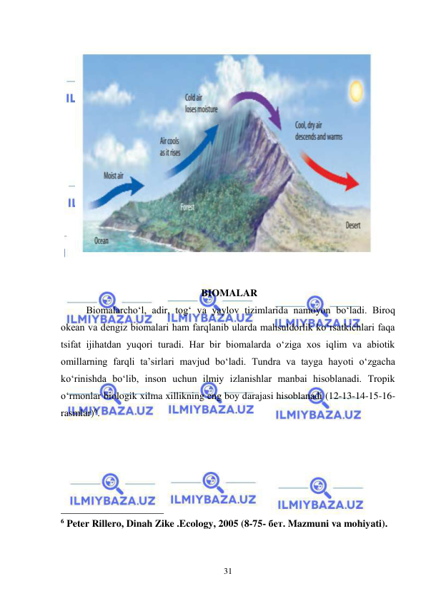  
 
31 
 
 
 BIOMALAR 
Biomalarcho‘l, adir, tog‘ va yaylov tizimlarida namoyon bo‘ladi. Biroq 
okean va dengiz biomalari ham farqlanib ularda mahsuldorlik ko‘rsatkichlari faqa 
tsifat ijihatdan yuqori turadi. Har bir biomalarda o‘ziga xos iqlim va abiotik 
omillarning farqli ta’sirlari mavjud bo‘ladi. Tundra va tayga hayoti o‘zgacha 
ko‘rinishda bo‘lib, inson uchun ilmiy izlanishlar manbai hisoblanadi. Tropik 
o‘rmonlar biologik xilma xillikning eng boy darajasi hisoblanadi (12-13-14-15-16-
rasmlar)6.  
 
 
 
 
 
                                                 
6 Peter Rillero, Dinah Zike .Ecology, 2005 (8-75- бет. Mazmuni va mohiyati). 
 
 
