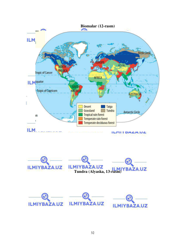  
 
32 
 
Biomalar (12-rasm) 
 
 
 
 
 
 
Tundra (Alyaska, 13-rasm) 
