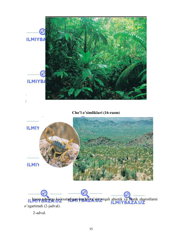  
 
35 
 
 
Cho’l o’simliklari (16-rasm) 
 
 
 
Inson tabiatga ko’rsatadigan kuchli ta’siri orqali abiotik va biotik sharoitlarni 
o’zgartiradi (2-jadval). 
 2-adval. 
 
