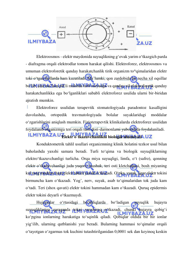  
 
 
Elektroosmos - elektr maydonida suyuqlikning g‘ovak yarim o‘tkazgich parda 
- diafragma orqali elektrodlar tomon harakat qilishi. Elektroforez, elektroosmos va 
umuman elektroforetik qanday harakatchanlik tirik organizm to^qimalaridan elektr 
toki o‘tgan hollarda ham kuzatiladi. Ma’lumki, qon zardobida bir necha xil oqsillar 
bo‘lib, ular ma’lum pH li muhitda turli zaryadga va qanday xil elektroforetik qanday 
harakatchanlikka ega bo‘lganliklari sababli elektroforez usulida ularni bir-biridan 
ajratish mumkin.  
Elektroforez usulidan terapevtik stomatologiyada paradontoz kasalligini 
davolashda, 
ortopedik 
travmatologiyada 
bolalar 
suyaklaridagi 
moddalar 
o‘zgarishlarini aniqlash mumkin. Fizioterapevtik klinikalarda elektroforez usulidan 
foydalanib organizmga teri orqali turli dori-darmonlarni yuborishda foydalaniladi. 
Elektr o`tkazuvchanlikni biologik ahamiyati 
Konduktometrik tahlil usullari organizmning klinik holatini tezkor usul bilan 
baholashda yaxshi samara beradi. Turli to‘qima va biologik suyuqliklarning 
elektro‘tkazuvchanligi turlicha. Orqa miya suyuqligi, limfa, o‘t (safro), qonning 
elektr o‘tkazuvchanligi juda yuqori; mushak, teri osti kletchatkasi, bosh miyaning 
kul rang moddasi ham elektr tokini yaxshi o‘tkazadi. O‘pka, yurak, jigar elektr tokini 
birmuncha kam o‘tkazadi. Yog’, nerv, suyak, asab to‘qimalaridan tok juda kam 
o‘tadi. Teri (shox qavati) elektr tokini hammadan kam o‘tkazadi. Quruq epidermis 
elektr tokini deyarli o‘tkazmaydi.  
Hujayralar 
o‘rtasidagi 
bo‘shliqlarda 
bo‘ladigan 
suyuqlik 
hujayra 
suyuqliklariga qaraganda tokni yaxshiroq o‘tkazadi, chunki hujayra qobig‘i 
ko‘pgina ionlarning harakatiga to‘sqinlik qiladi. Qobiqlar oldida bir hir ionlar 
yig‘ilib, ularning qutblanishi yuz beradi. Bularning hammasi to‘qimalar orqali 
o‘tayotgan o‘zgarmas tok kuchini tutashtirilganidan 0,0001 sek dan keyinoq keskin 
