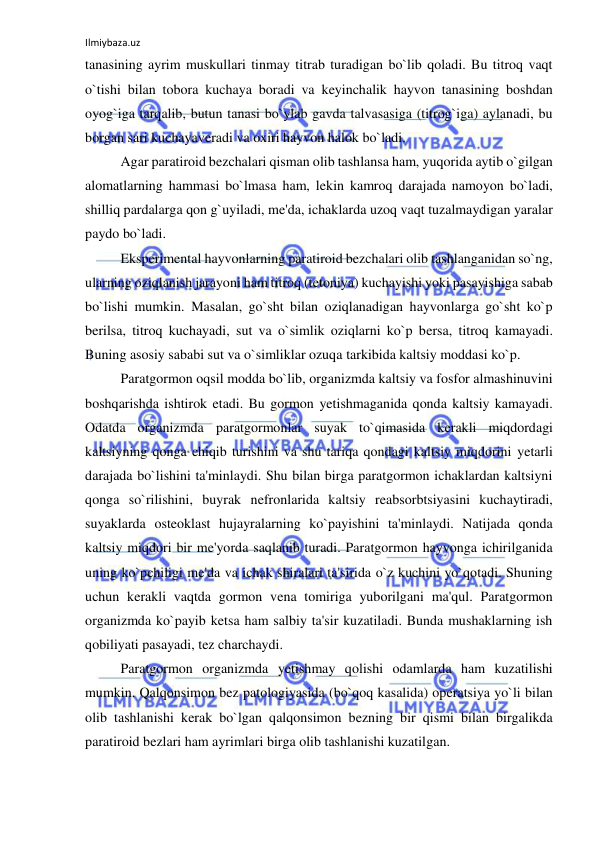 Ilmiybaza.uz 
 
tanasining ayrim muskullari tinmay titrab turadigan bo`lib qoladi. Bu titroq vaqt 
o`tishi bilan tobora kuchaya boradi va keyinchalik hayvon tanasining boshdan 
oyog`iga tarqalib, butun tanasi bo`ylab gavda talvasasiga (titrog`iga) aylanadi, bu 
borgan sari kuchayaveradi va oxiri hayvon halok bo`ladi. 
 
Agar paratiroid bezchalari qisman olib tashlansa ham, yuqorida aytib o`gilgan 
alomatlarning hammasi bo`lmasa ham, lekin kamroq darajada namoyon bo`ladi, 
shilliq pardalarga qon g`uyiladi, me'da, ichaklarda uzoq vaqt tuzalmaydigan yaralar 
paydo bo`ladi. 
 
Eksperimental hayvonlarning paratiroid bezchalari olib tashlanganidan so`ng, 
ularning oziqlanish jarayoni ham titroq (tetoniya) kuchayishi yoki pasayishiga sabab 
bo`lishi mumkin. Masalan, go`sht bilan oziqlanadigan hayvonlarga go`sht ko`p 
berilsa, titroq kuchayadi, sut va o`simlik oziqlarni ko`p bersa, titroq kamayadi. 
Buning asosiy sababi sut va o`simliklar ozuqa tarkibida kaltsiy moddasi ko`p. 
 
Paratgormon oqsil modda bo`lib, organizmda kaltsiy va fosfor almashinuvini 
boshqarishda ishtirok etadi. Bu gormon yetishmaganida qonda kaltsiy kamayadi. 
Odatda organizmda paratgormonlar suyak to`qimasida kerakli miqdordagi 
kaltsiyning qonga chiqib turishini va shu tariqa qondagi kaltsiy miqdorini yetarli 
darajada bo`lishini ta'minlaydi. Shu bilan birga paratgormon ichaklardan kaltsiyni 
qonga so`rilishini, buyrak nefronlarida kaltsiy reabsorbtsiyasini kuchaytiradi, 
suyaklarda osteoklast hujayralarning ko`payishini ta'minlaydi. Natijada qonda 
kaltsiy miqdori bir me'yorda saqlanib turadi. Paratgormon hayvonga ichirilganida 
uning ko`pchiligi me'da va ichak shiralari ta'sirida o`z kuchini yo`qotadi. Shuning 
uchun kerakli vaqtda gormon vena tomiriga yuborilgani ma'qul. Paratgormon 
organizmda ko`payib ketsa ham salbiy ta'sir kuzatiladi. Bunda mushaklarning ish 
qobiliyati pasayadi, tez charchaydi.  
 
Paratgormon organizmda yetishmay qolishi odamlarda ham kuzatilishi 
mumkin. Qalqonsimon bez patologiyasida (bo`qoq kasalida) operatsiya yo`li bilan 
olib tashlanishi kerak bo`lgan qalqonsimon bezning bir qismi bilan birgalikda 
paratiroid bezlari ham ayrimlari birga olib tashlanishi kuzatilgan. 
 
