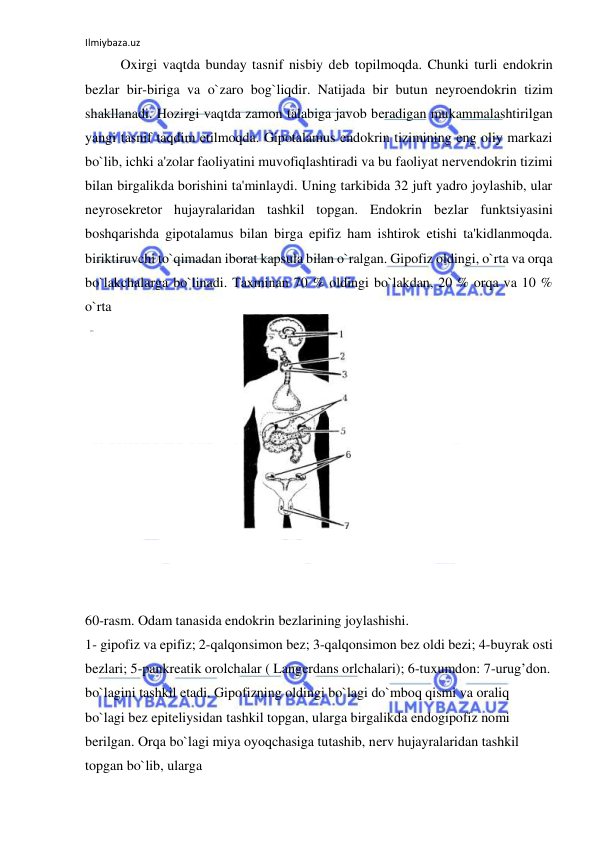 Ilmiybaza.uz 
 
 
Oxirgi vaqtda bunday tasnif nisbiy deb topilmoqda. Chunki turli endokrin 
bezlar bir-biriga va o`zaro bog`liqdir. Natijada bir butun neyroendokrin tizim 
shakllanadi. Hozirgi vaqtda zamon talabiga javob beradigan mukammalashtirilgan 
yangi tasnif taqdim etilmoqda. Gipotalamus endokrin tizimining eng oliy markazi 
bo`lib, ichki a'zolar faoliyatini muvofiqlashtiradi va bu faoliyat nervendokrin tizimi 
bilan birgalikda borishini ta'minlaydi. Uning tarkibida 32 juft yadro joylashib, ular 
neyrosekretor hujayralaridan tashkil topgan. Endokrin bezlar funktsiyasini 
boshqarishda gipotalamus bilan birga epifiz ham ishtirok etishi ta'kidlanmoqda. 
biriktiruvchi to`qimadan iborat kapsula bilan o`ralgan. Gipofiz oldingi, o`rta va orqa 
bo`lakchalarga bo`linadi. Taxminan 70 % oldingi bo`lakdan, 20 % orqa va 10 % 
o`rta 
 
 
 
 
 
 
 
 
 
 
 
 
60-rasm. Odam tanasida endokrin bezlarining joylashishi.  
1- gipofiz va epifiz; 2-qalqonsimon bez; 3-qalqonsimon bez oldi bezi; 4-buyrak osti 
bezlari; 5-pankreatik orolchalar ( Langerdans orlchalari); 6-tuxumdon: 7-urug’don. 
bo`lagini tashkil etadi. Gipofizning oldingi bo`lagi do`mboq qismi va oraliq 
bo`lagi bez epiteliysidan tashkil topgan, ularga birgalikda endogipofiz nomi 
berilgan. Orqa bo`lagi miya oyoqchasiga tutashib, nerv hujayralaridan tashkil 
topgan bo`lib, ularga  

